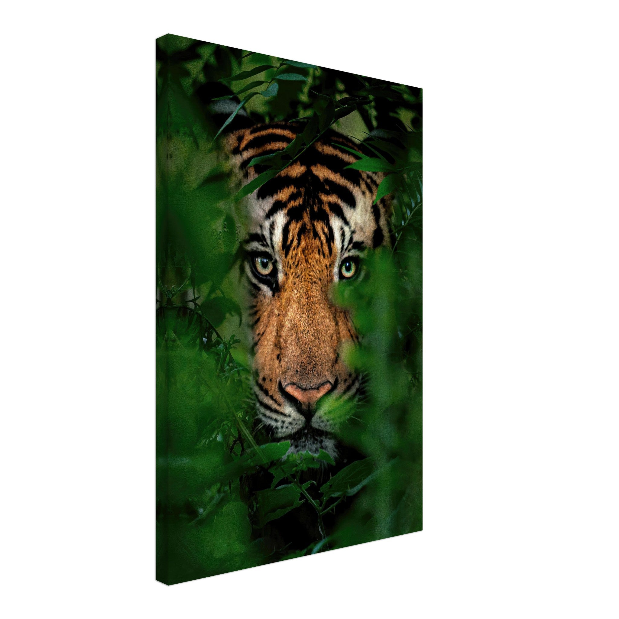 Majestic tiger peering through lush green foliage on canvas, adding wild elegance to your space.
