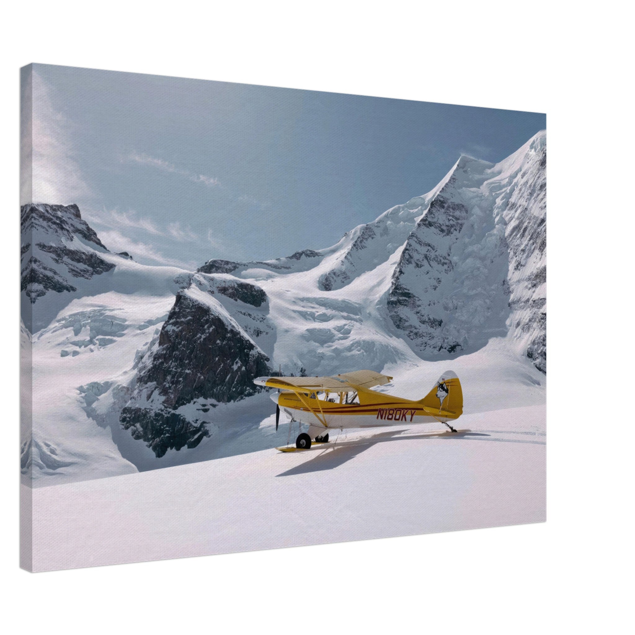 55027679-f745-4eab-b369-c3967419ac53