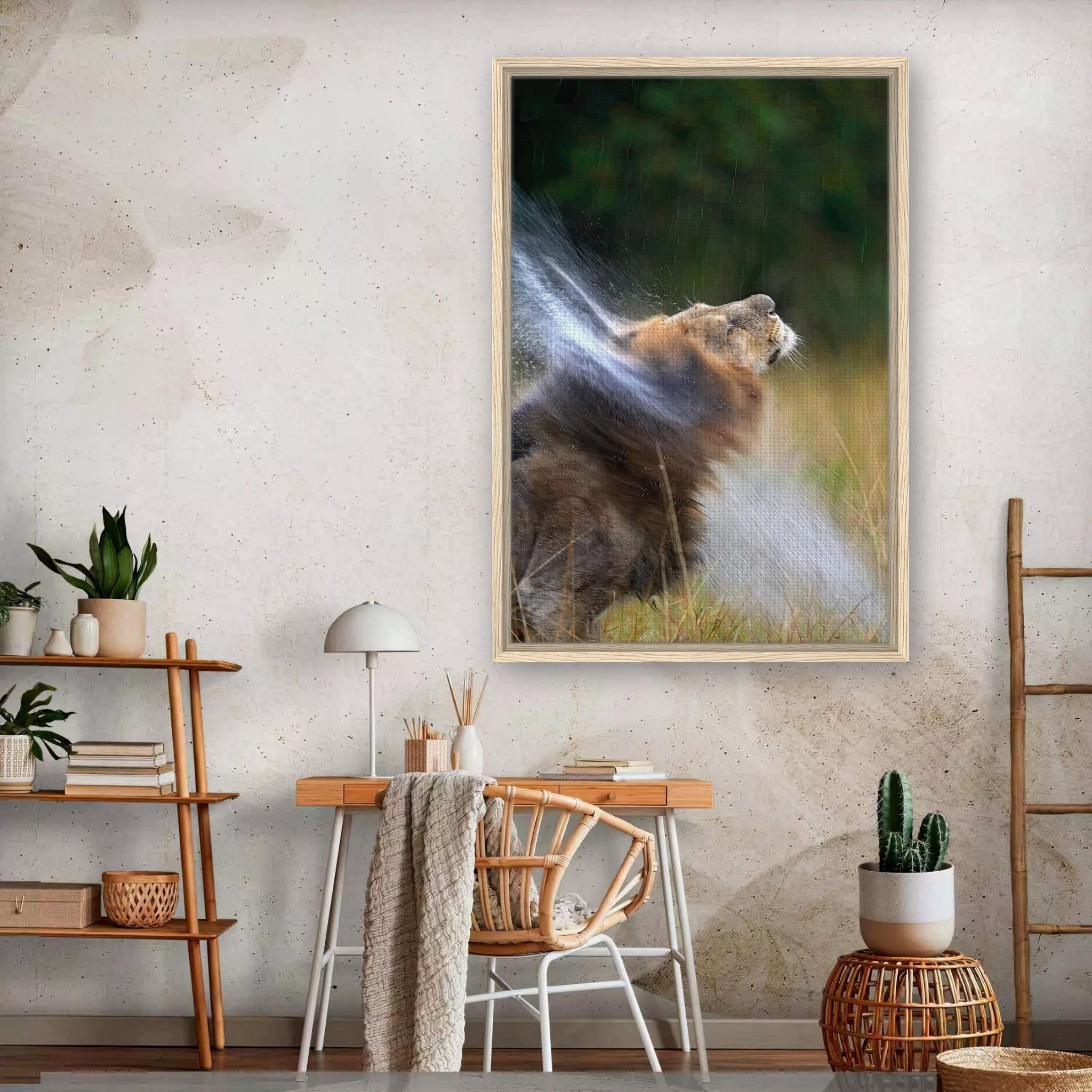 Lion shaking off water in framed canvas print, showcasing the raw beauty and power of nature.