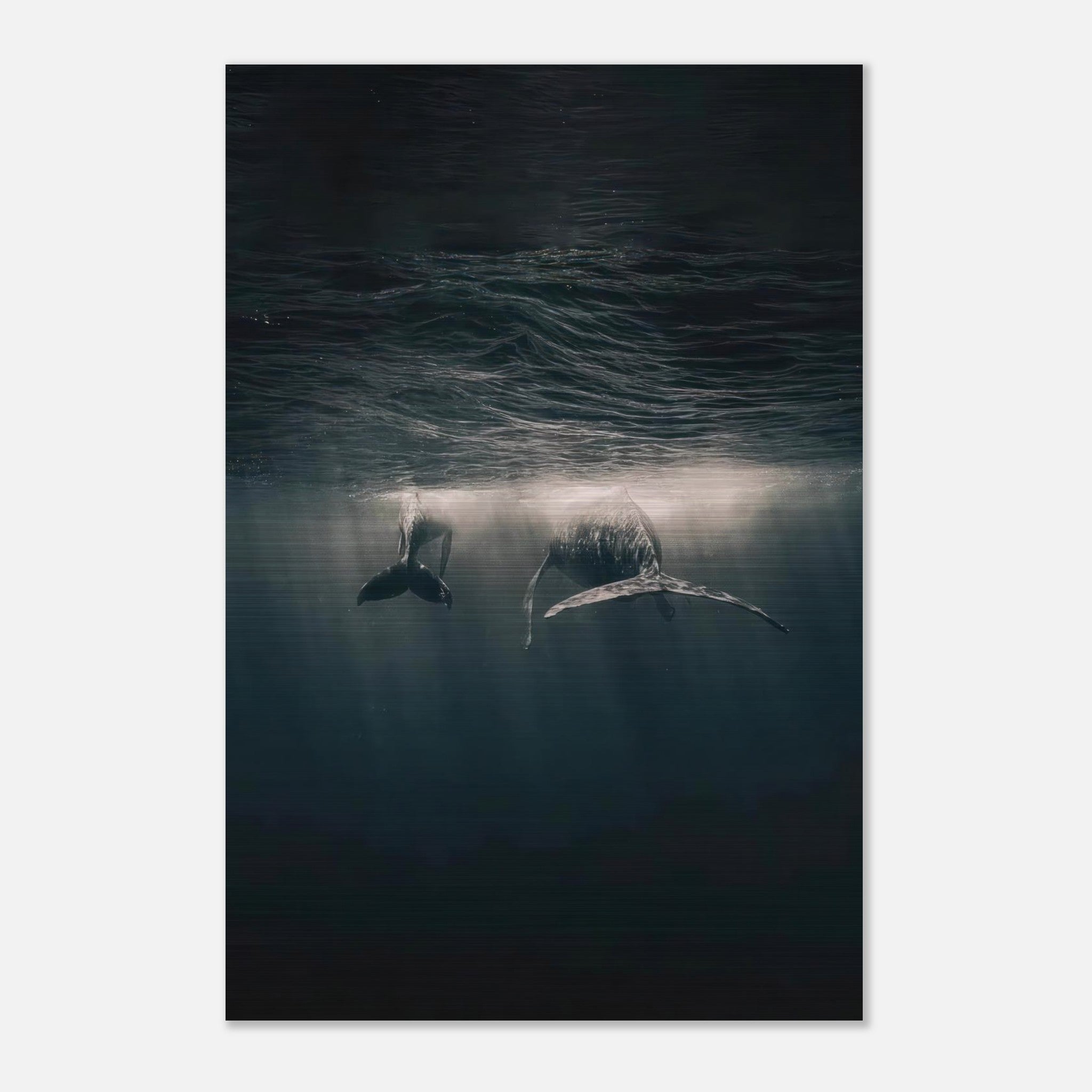 Whales gracefully swimming underwater in the ocean, captured in high-definition brushed metal artwork.