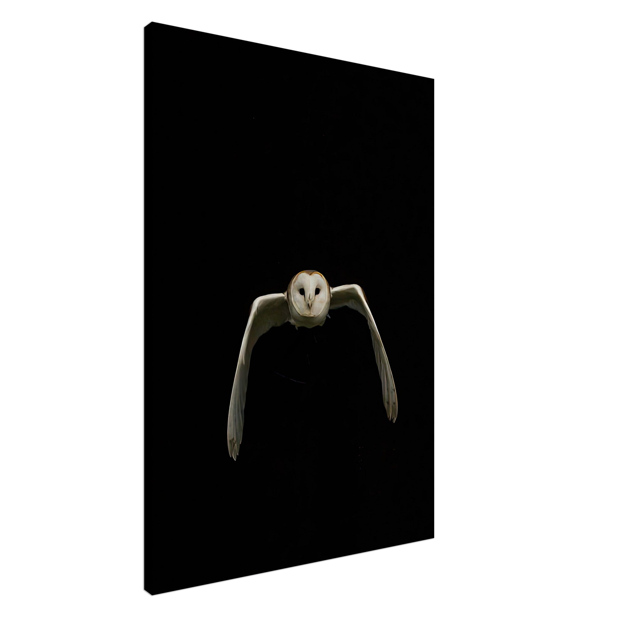 Owl canvas artwork featuring a soaring owl against a black background, perfect for nature lovers and art enthusiasts.