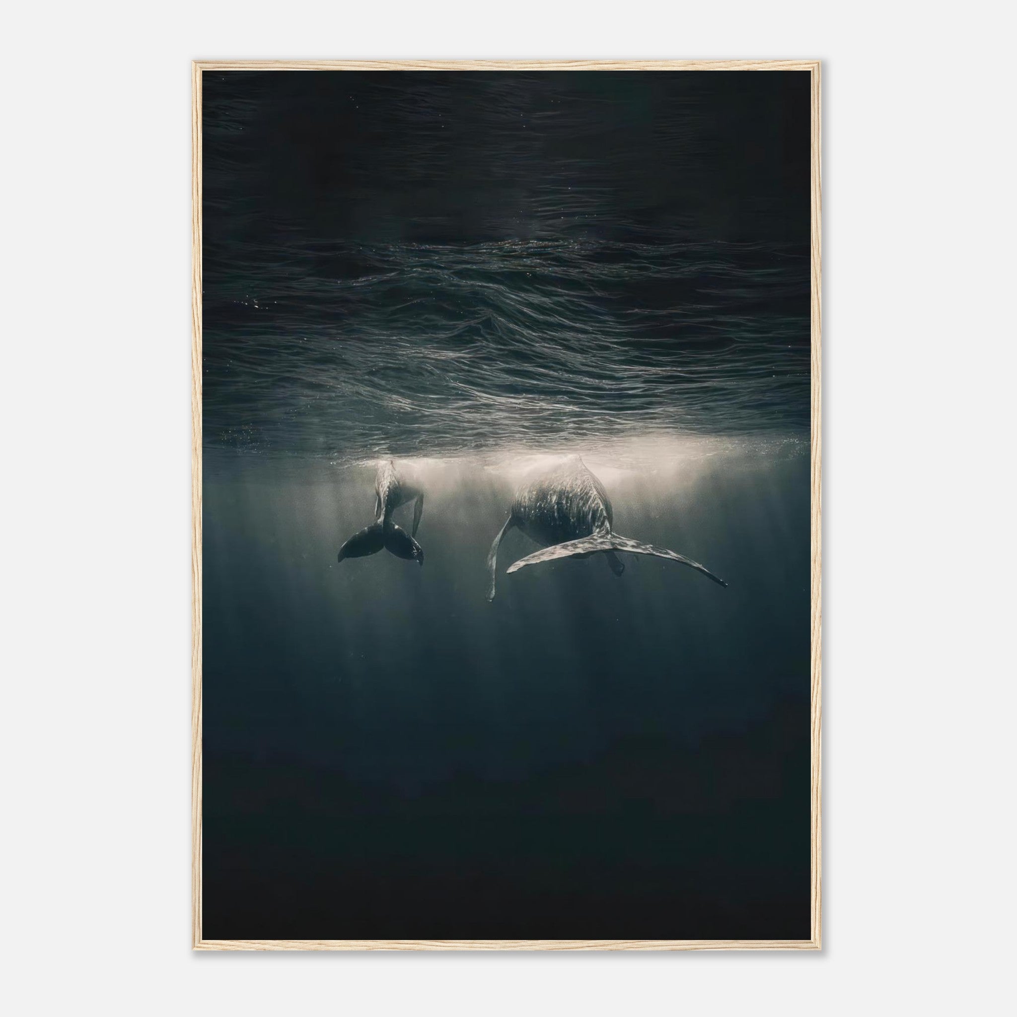 Majestic whales gliding underwater in ocean, framed print showcasing marine life and serene sunlight reflections.