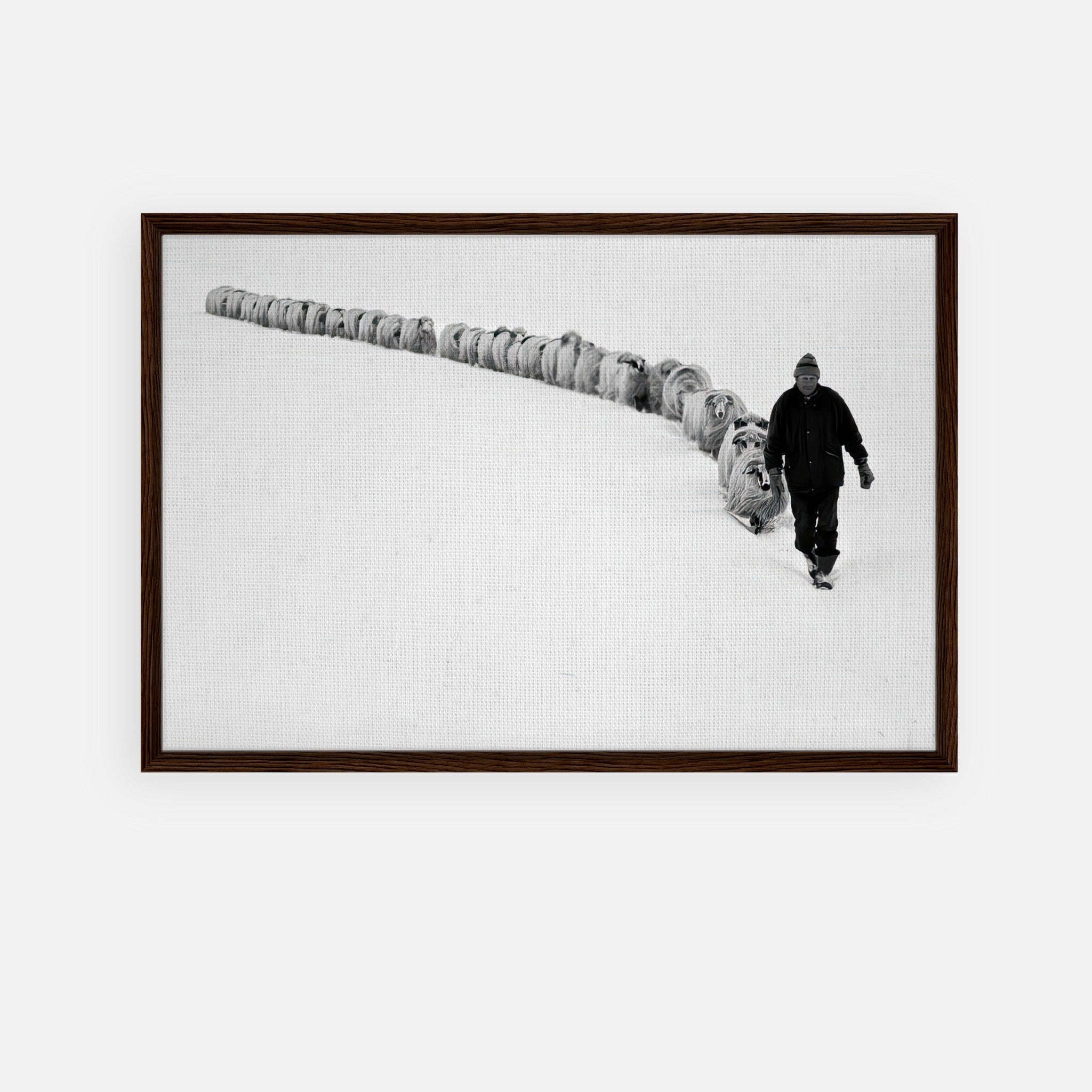 Framed canvas print of a shepherd walking through snow with his flock in black and white, symbolizing tradition and resilience.