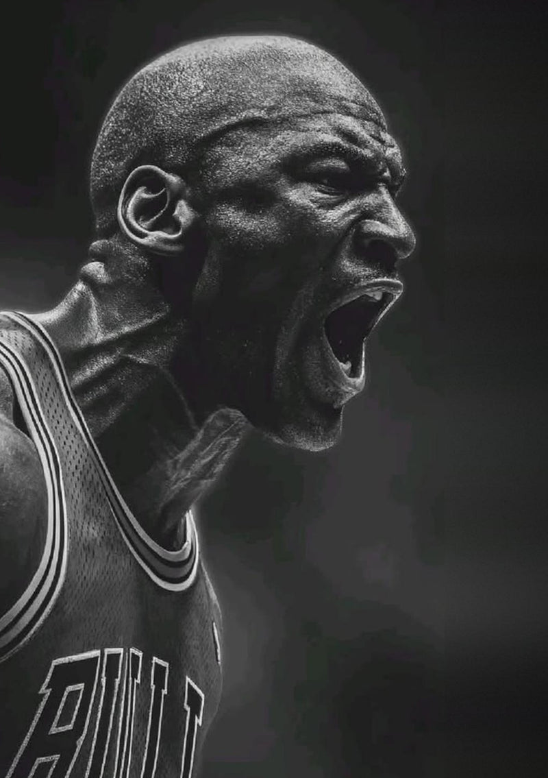 Michael Jordan Chicago Bulls