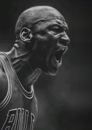 Michael Jordan Chicago Bulls