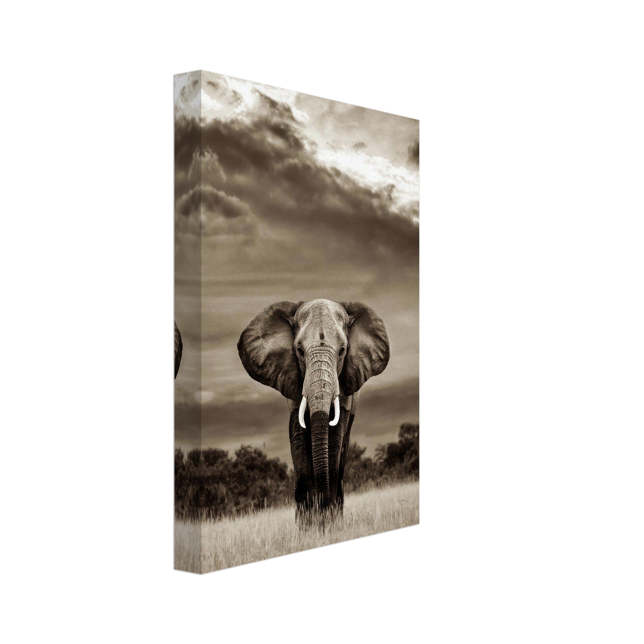 Stunning black-and-white elephant portrait photography canvas print showcasing intricate details.