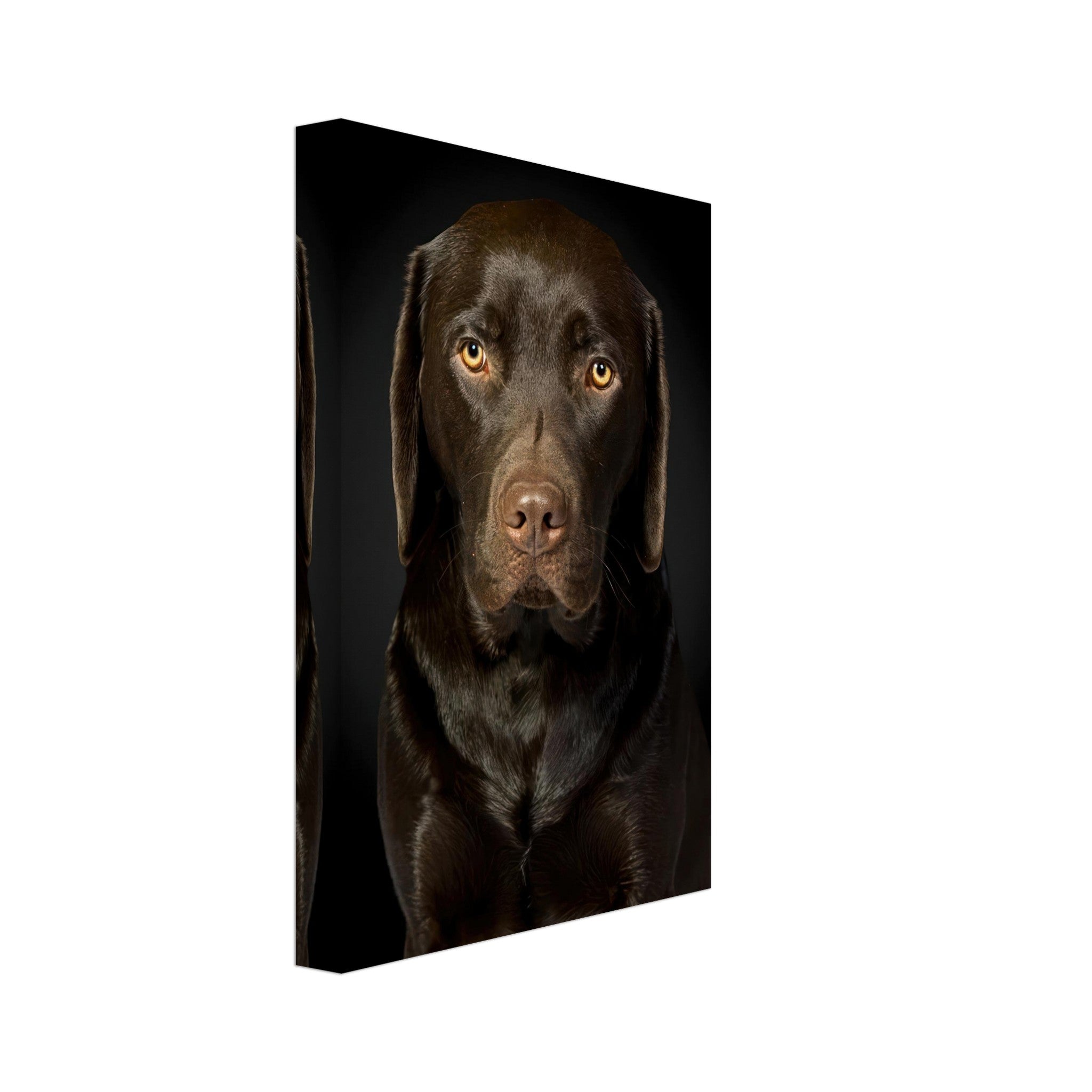 Chocolate Labrador portrait canvas print featuring a dog with warm eyes and glossy coat against a black background.