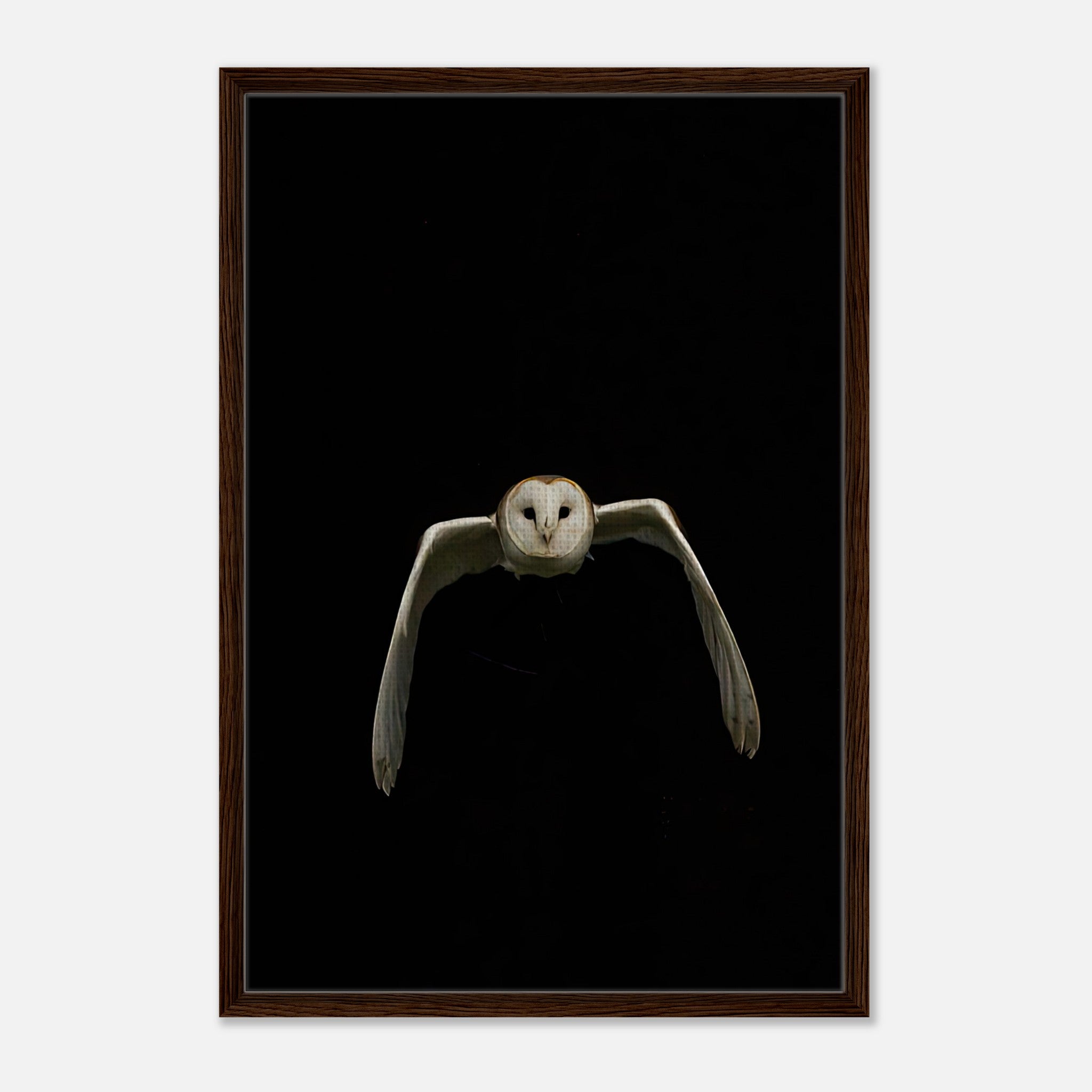 Owl Framed Canvas artwork featuring a majestic owl in mid-flight against a black background.
