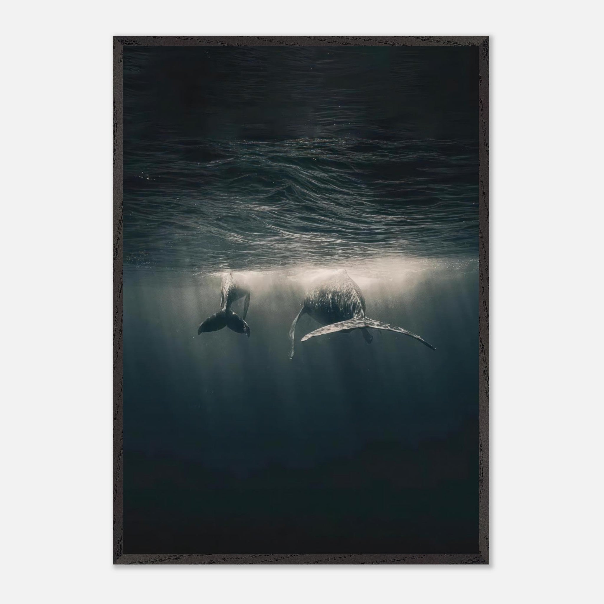 Whales swimming underwater in a vintage framed print, capturing the tranquility of the ocean's depths.