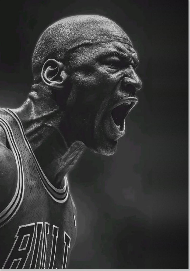 Michael Jordan Chicago Bulls