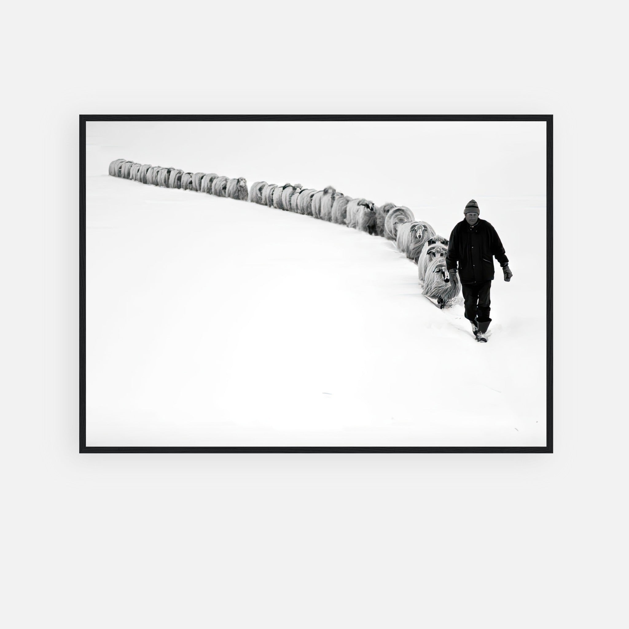 A shepherd guiding his flock through a serene, snow-covered landscape in a black-and-white framed print.