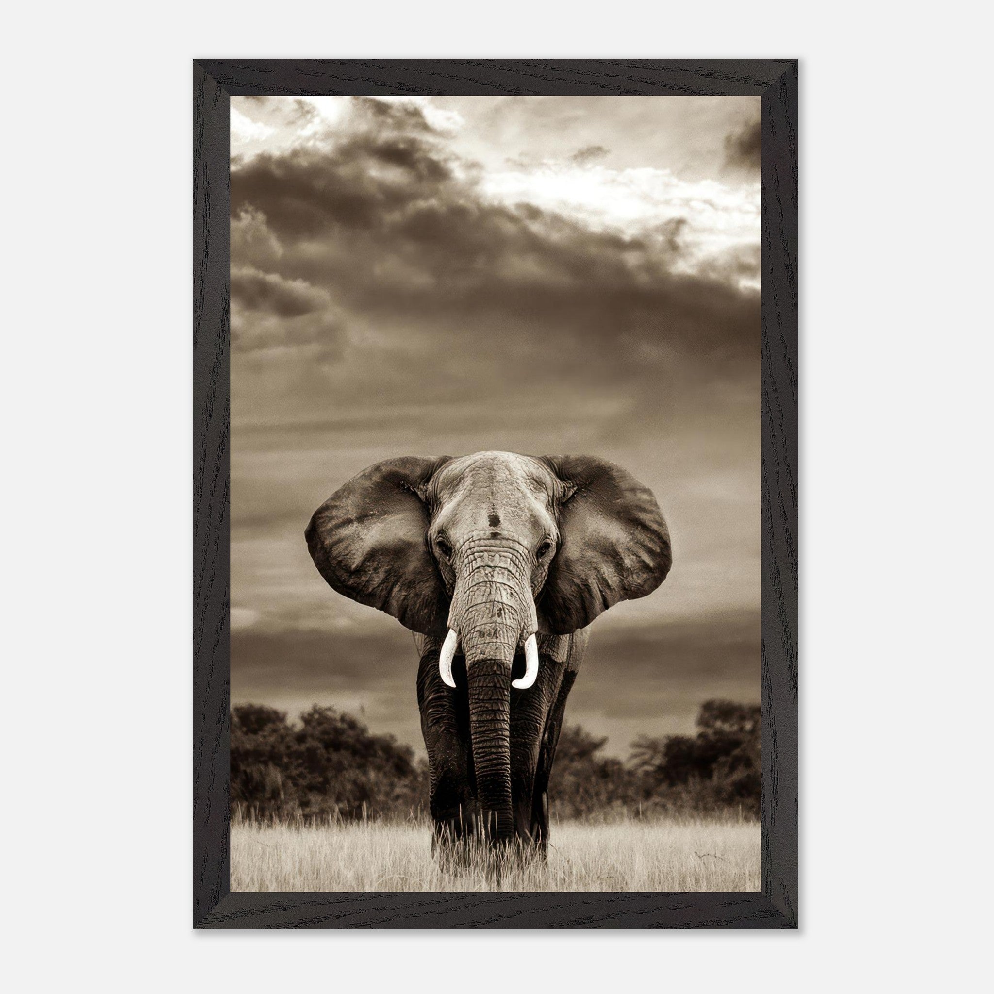 Majestic black and white elephant portrait photography print showcasing strength and grace in a natural setting.