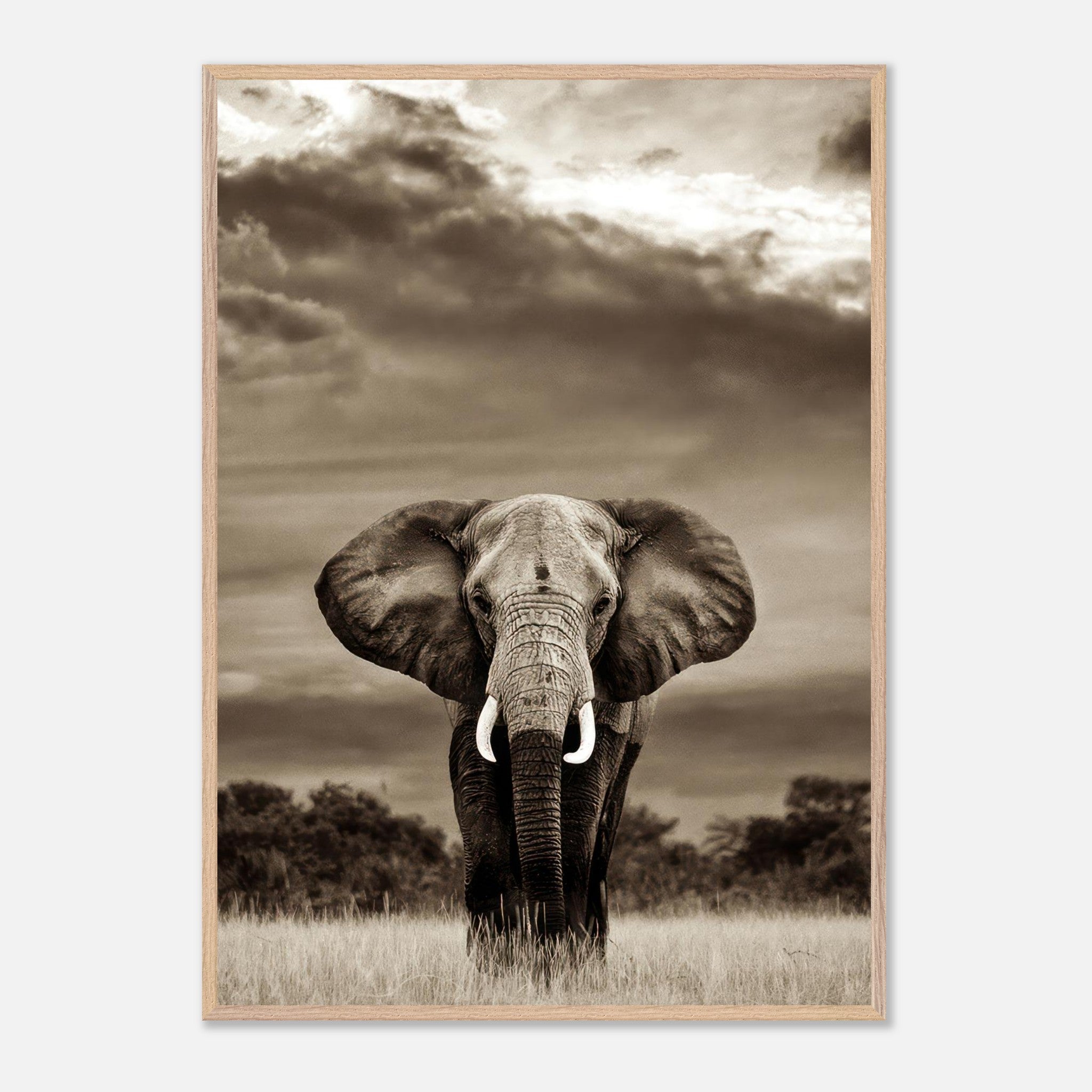 Black-and-white elephant portrait photography print showcasing strength and grace in natural habitat.