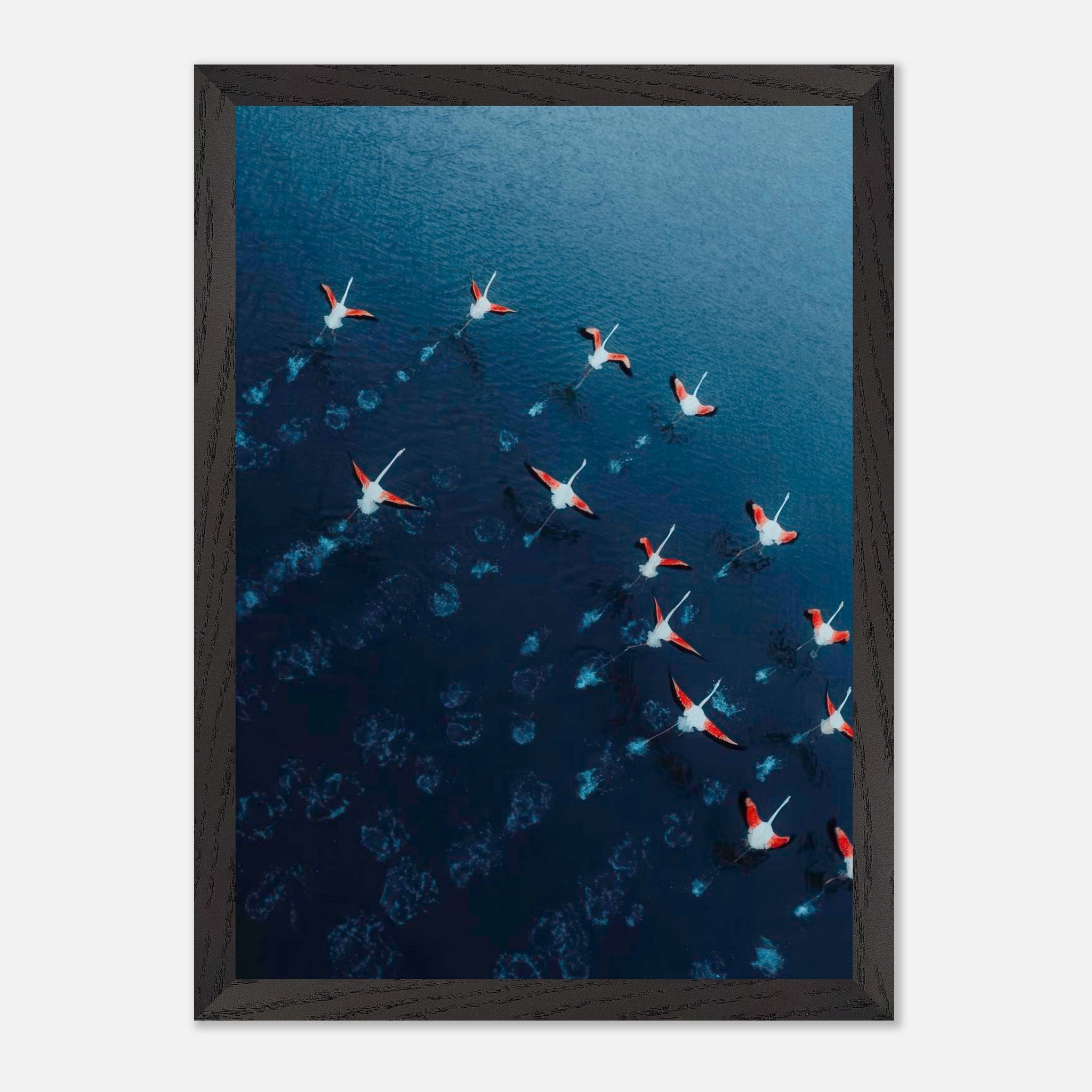 Aerial view of a flock of flamingos flying over deep blue waters in a vintage framed print.