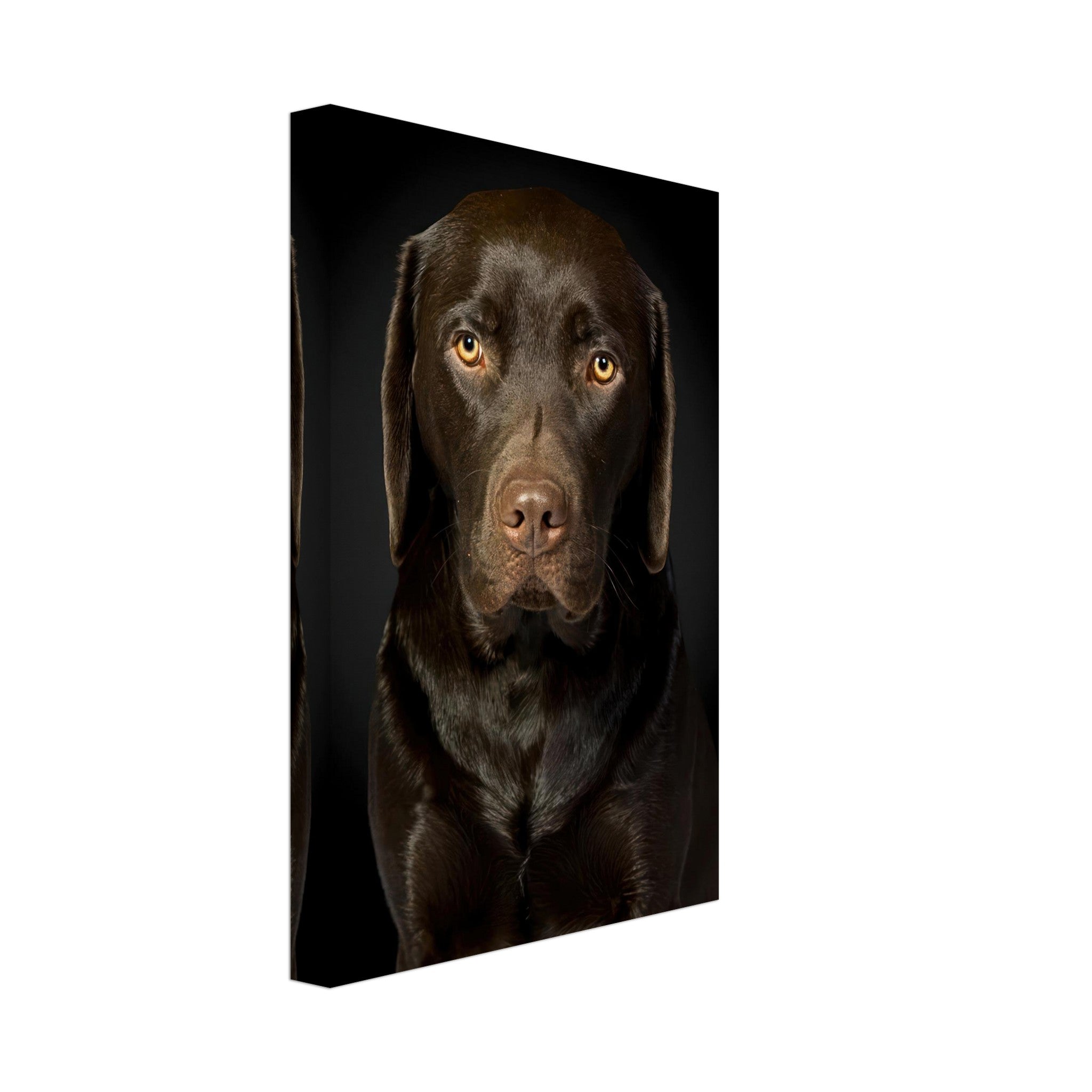 Chocolate Labrador portrait canvas print featuring a loyal dog's expressive eyes and shiny coat on a black background.