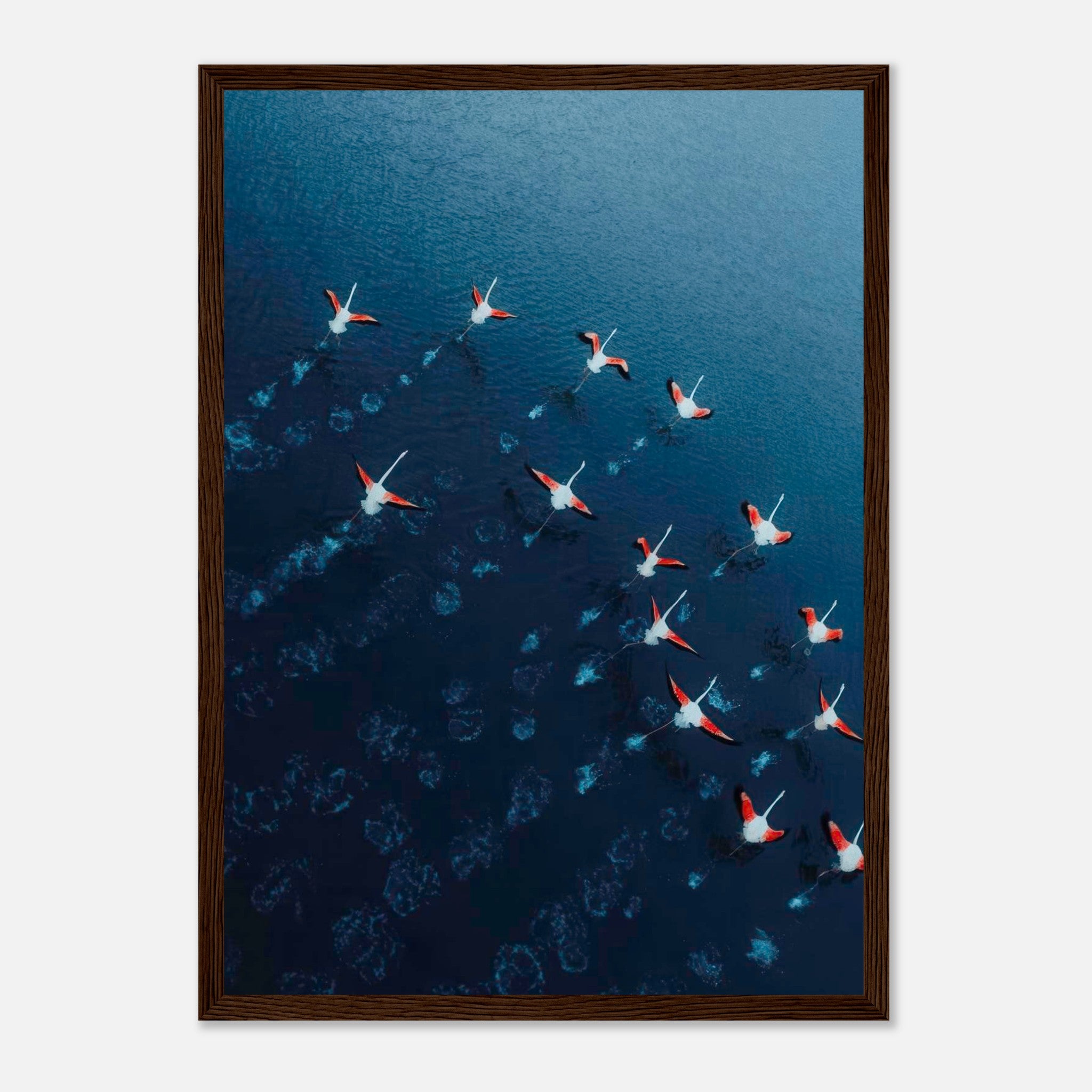 Aerial view of graceful flamingos in flight over deep blue waters, framed print showcasing nature's beauty.