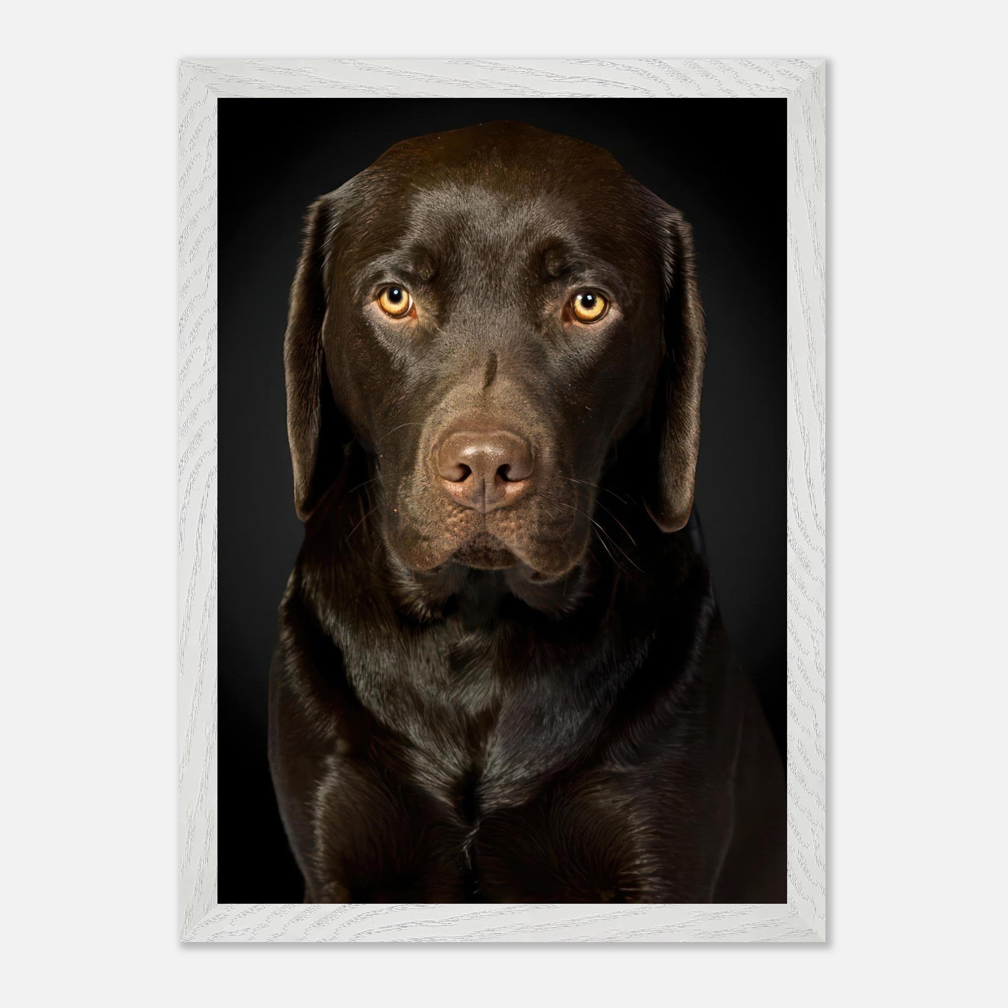 Portrait of a Chocolate Labrador framed print showcasing its soulful gaze and rich coat.