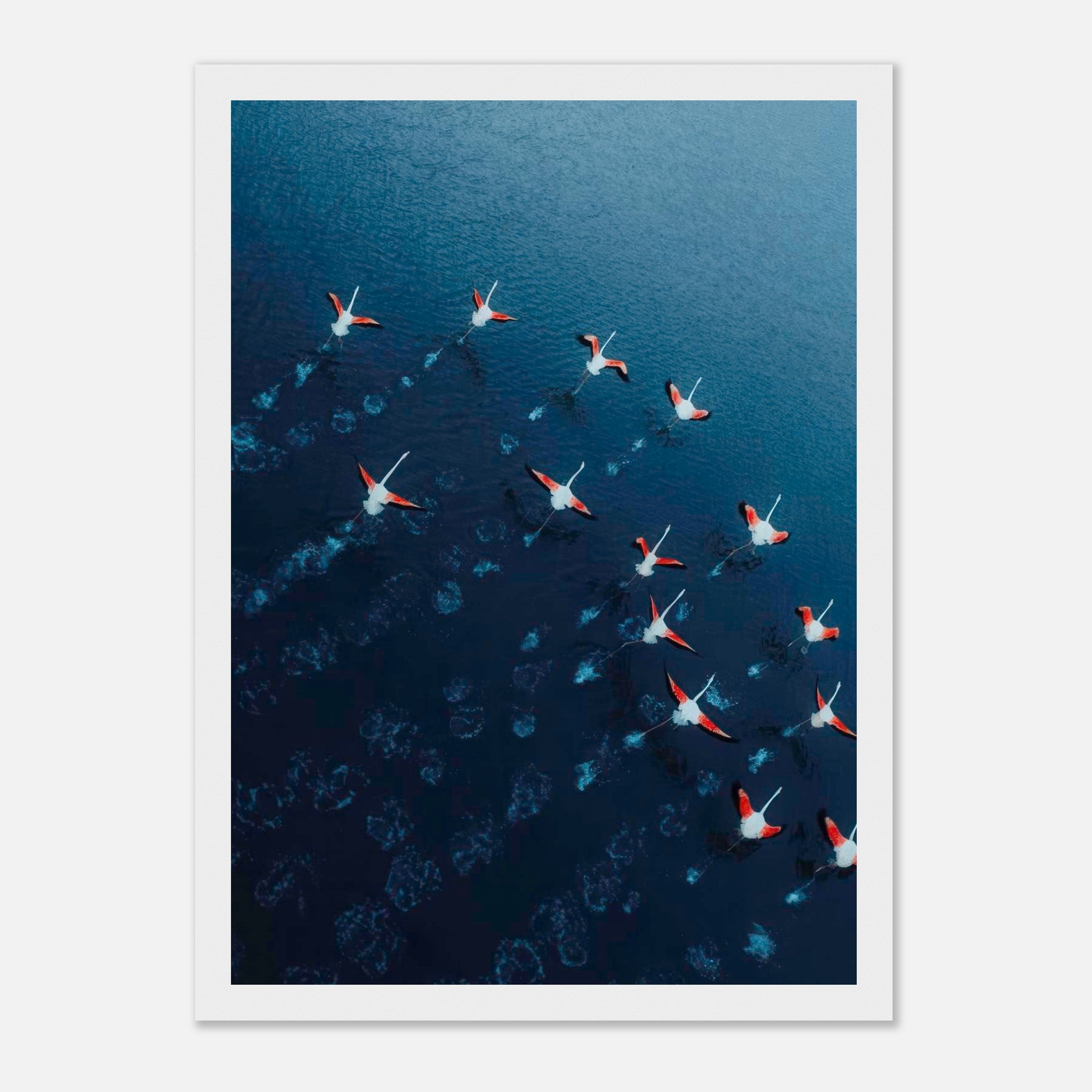 Aerial view of flamingos gracefully flying over deep blue waters, framed print showcasing nature's beauty.