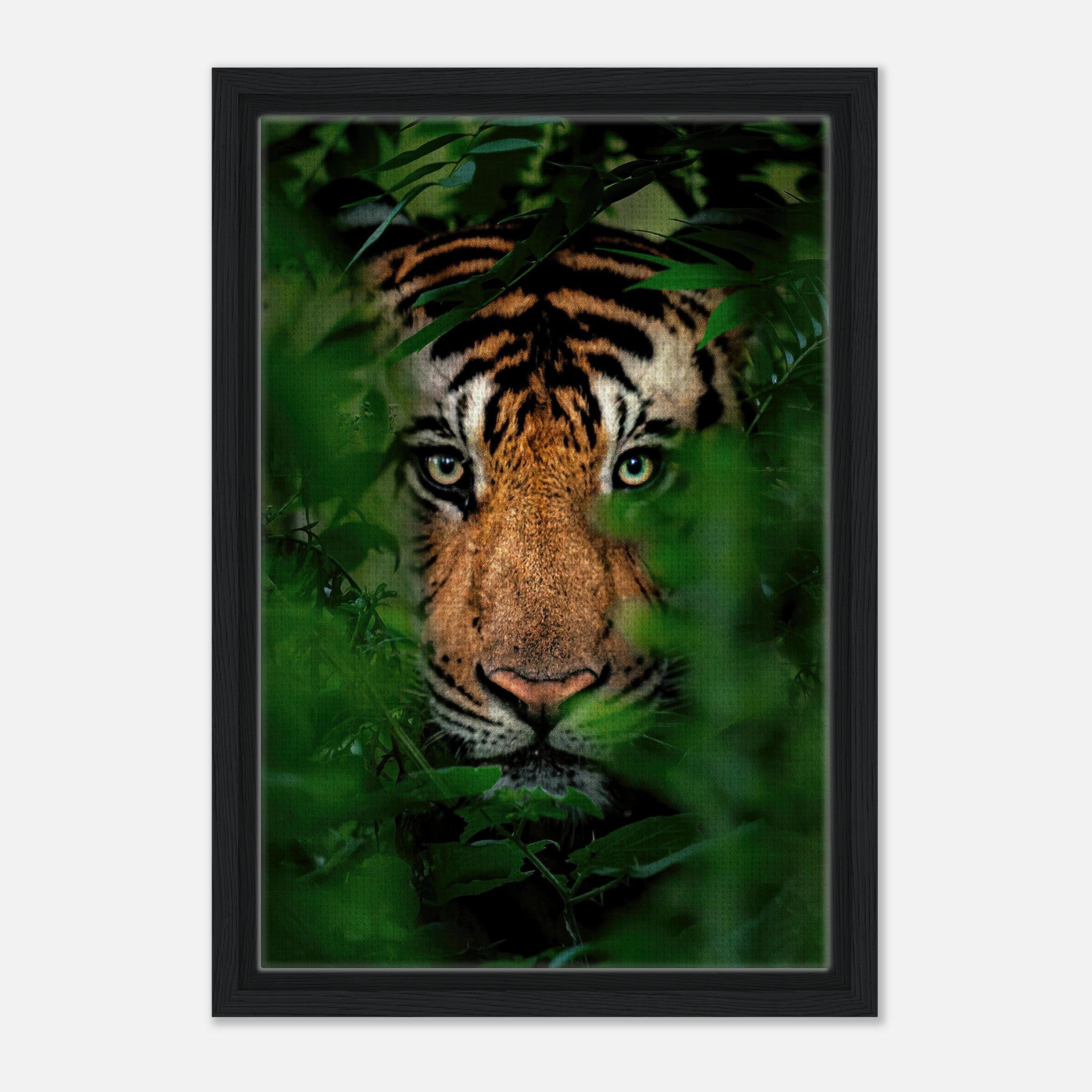 Tiger Through Jungle Framed Canvas Print showcasing a tiger's intense gaze through dense foliage.