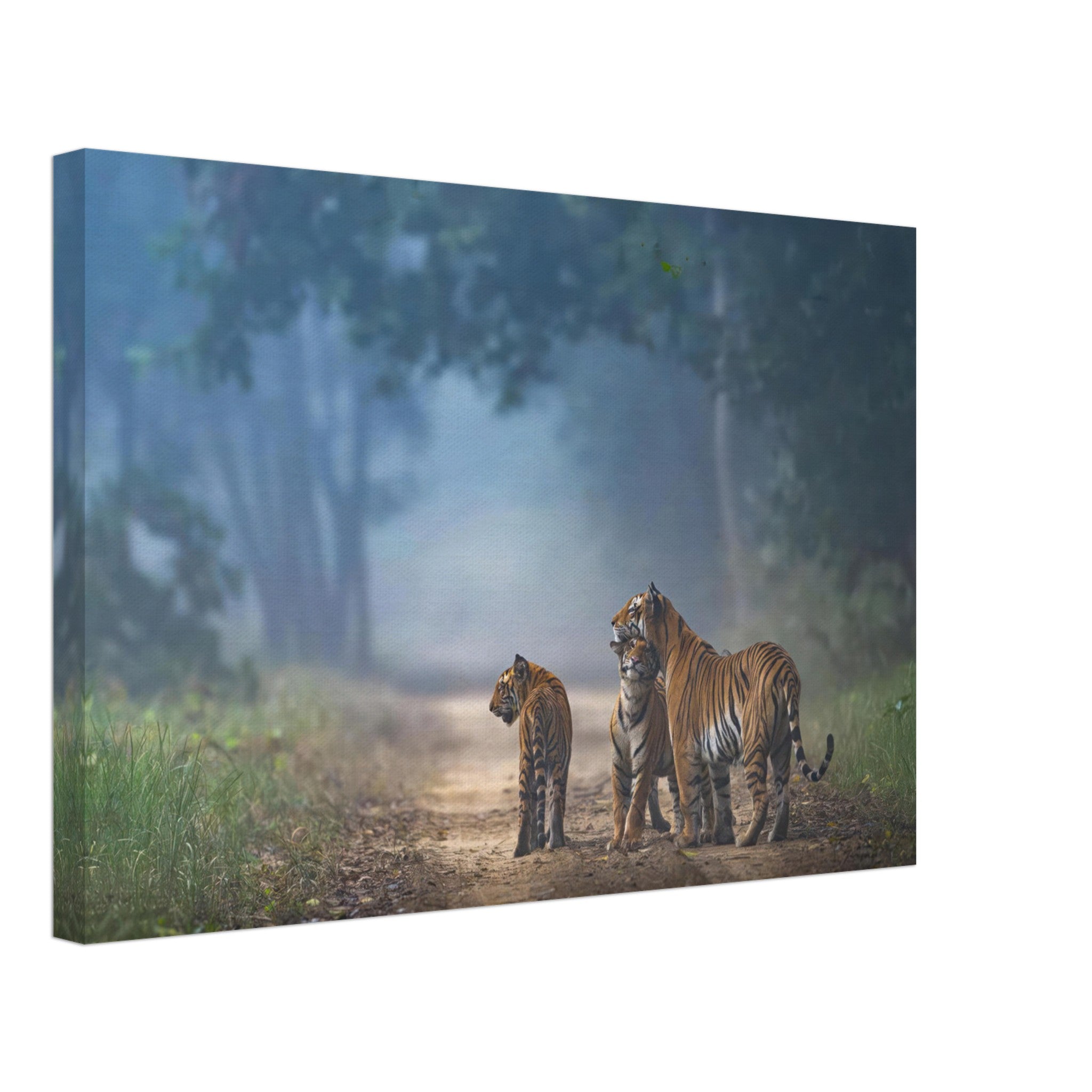 The Bond of Tigers Canvas featuring a tiger family in a misty forest, symbolizing strength and unity in nature.