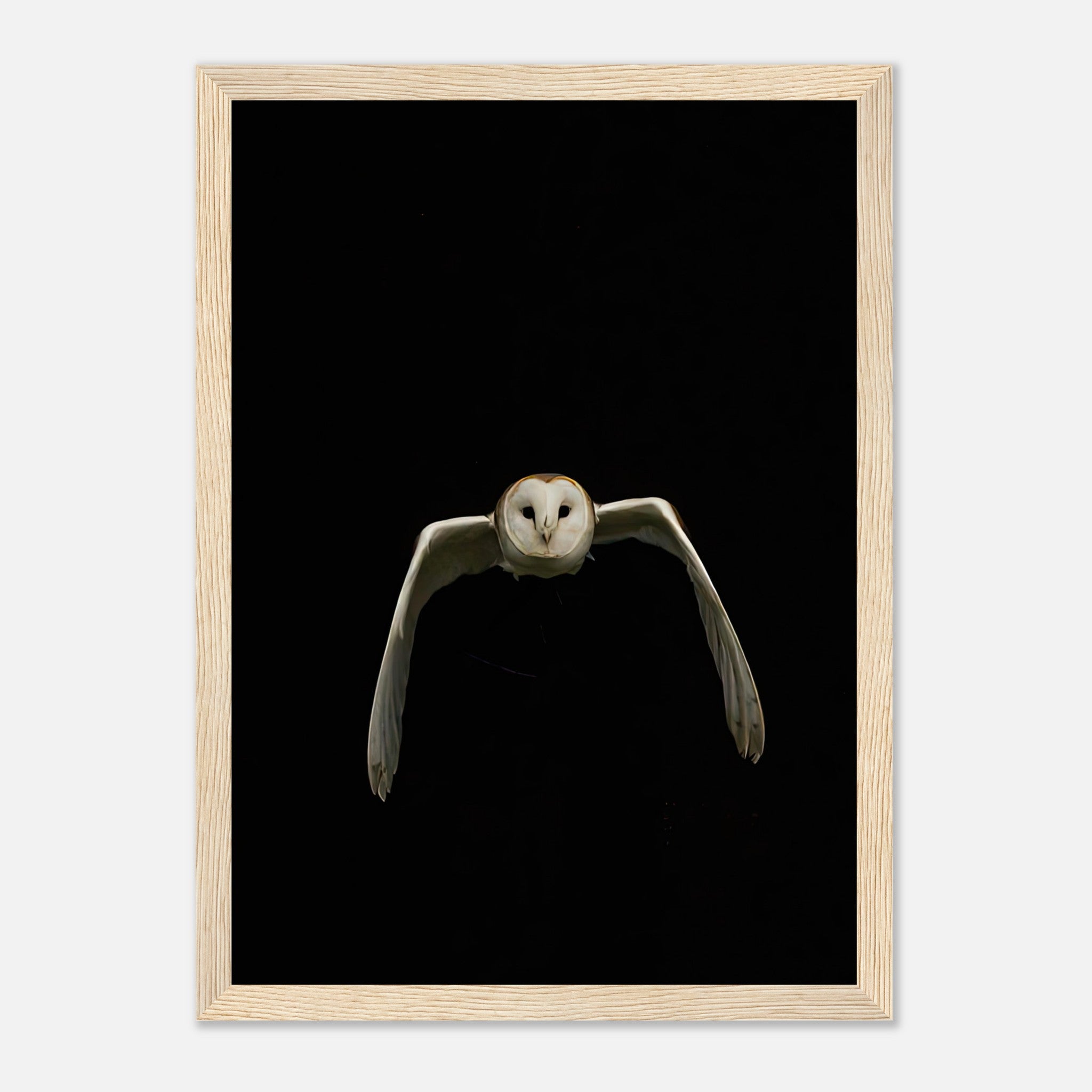 Owl framed print featuring a barn owl in flight against a black background, perfect for modern decor.