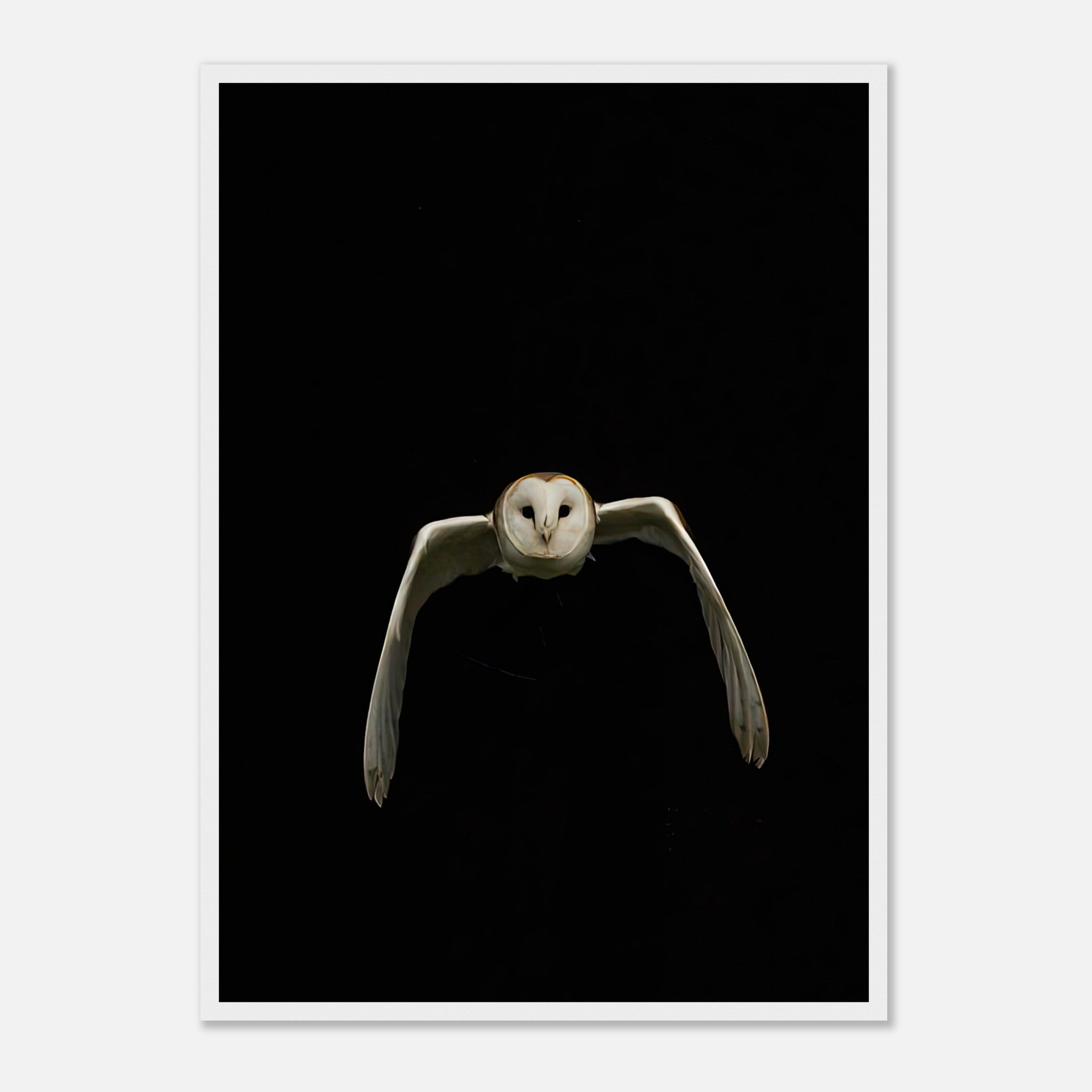 Owl Framed Print featuring a barn owl in mid-flight against a dramatic black background, ideal for modern decor.