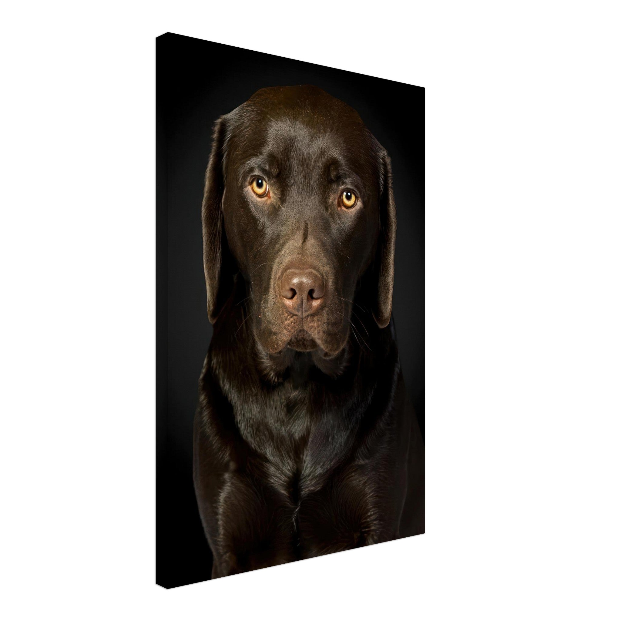 Chocolate Labrador portrait canvas print featuring a detailed close-up of a dark-coated dog against a black background.