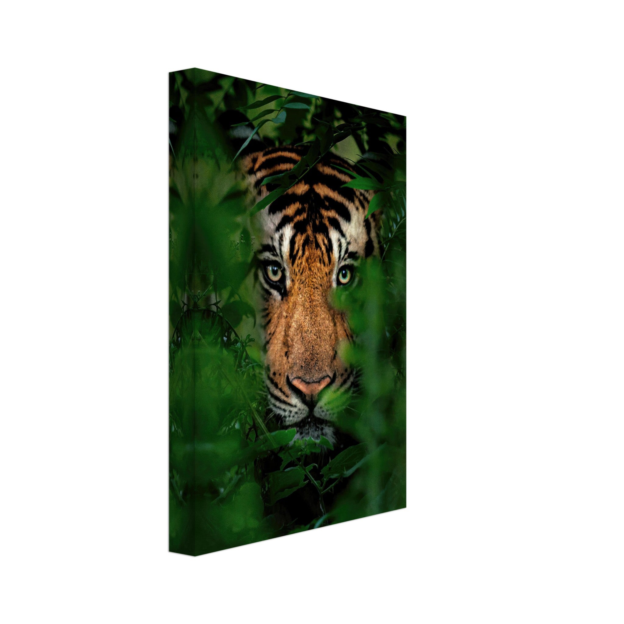 Majestic tiger peering through lush green foliage on canvas, capturing wild beauty and elegance.