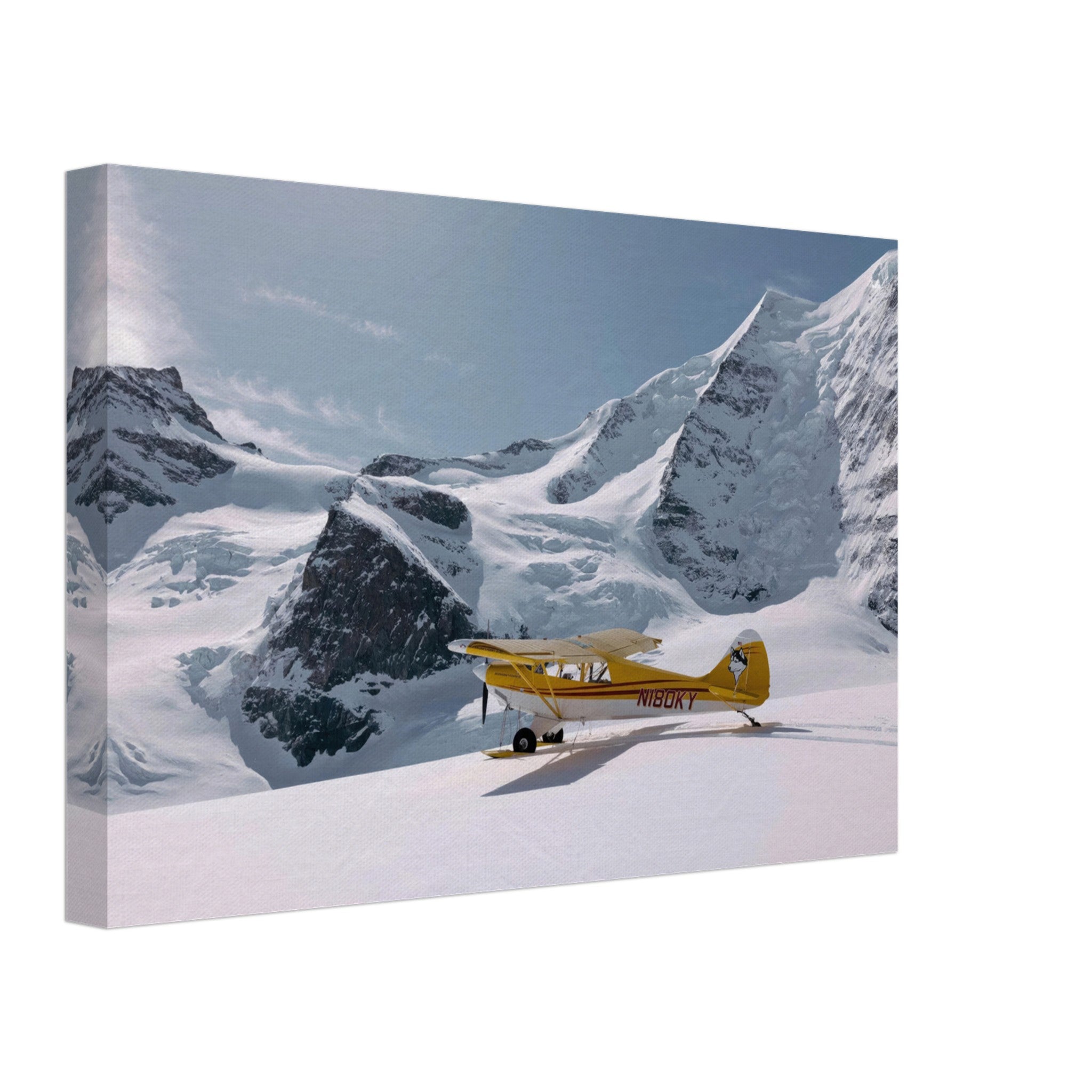 666f7a57-e6de-4520-956e-e20191ac13fc