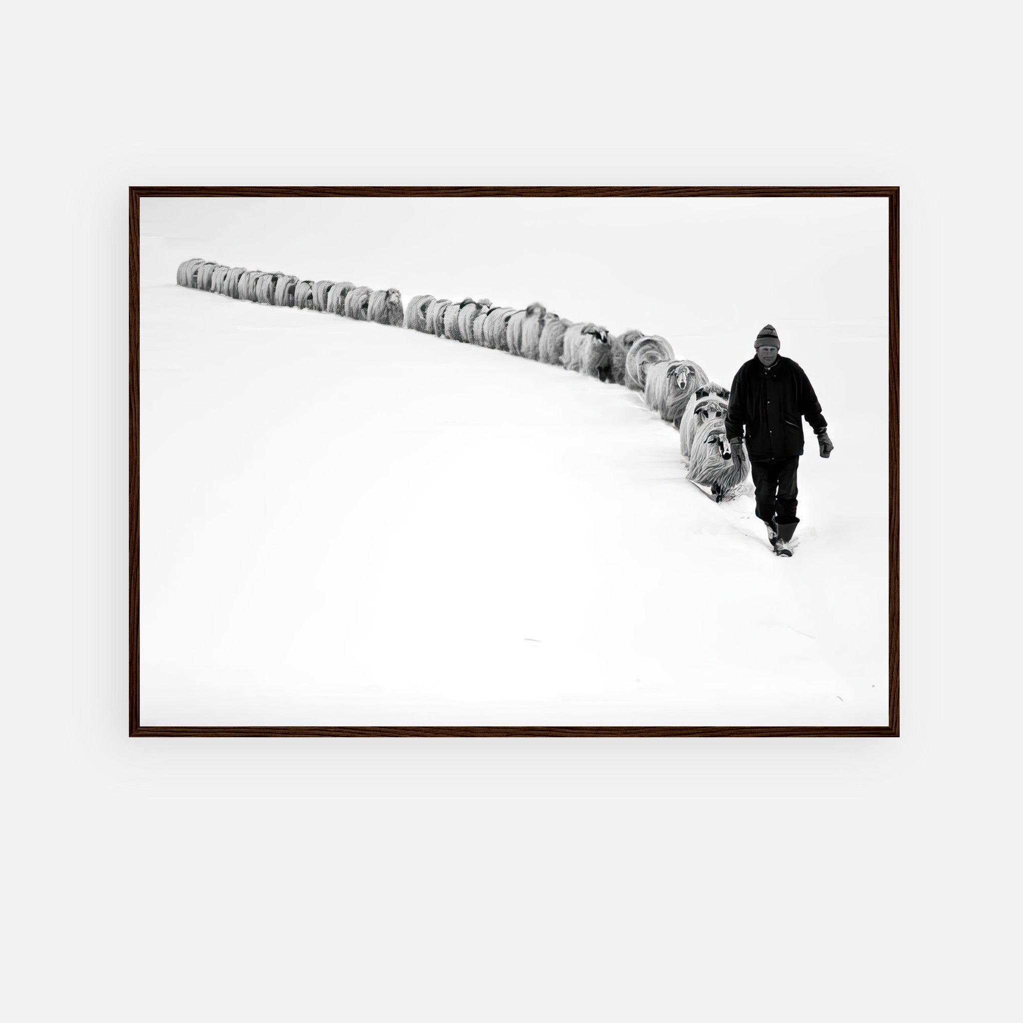 The Shepherd’s Trail Framed Print featuring a shepherd guiding sheep through a snow-covered landscape in monochrome.