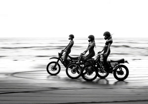 Rebels on the Shore