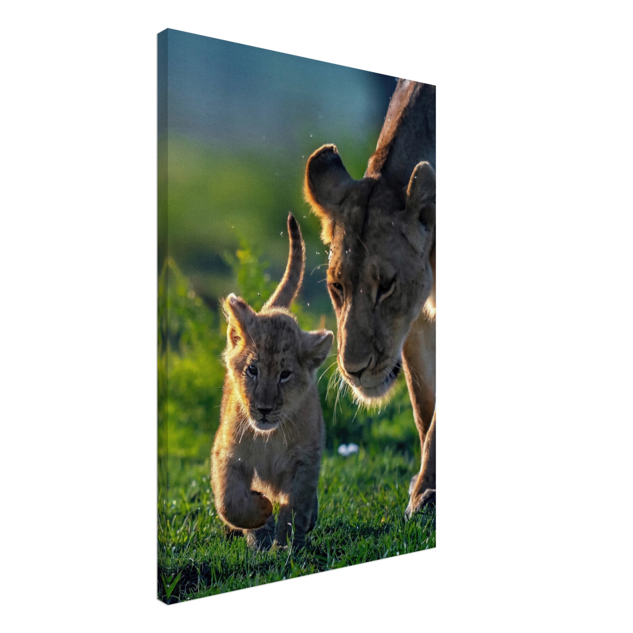 Protective Lion Mother Canvas featuring a lioness and her playful cub in a vibrant natural setting.