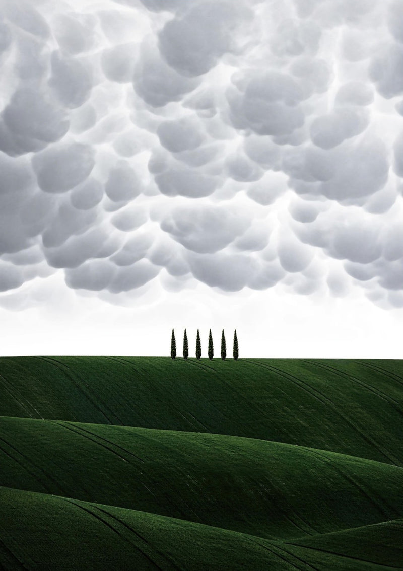 Toscana - Italy