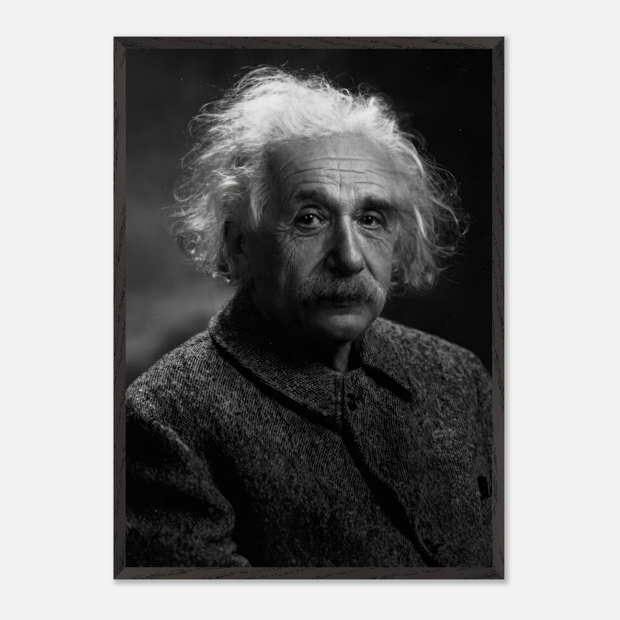 Albert Einstein portrait in black and white, showcasing museum-quality fine art details.