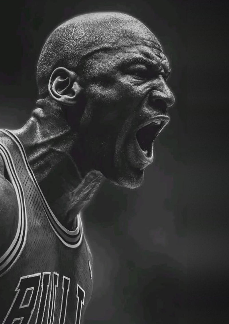 Michael Jordan Chicago Bulls