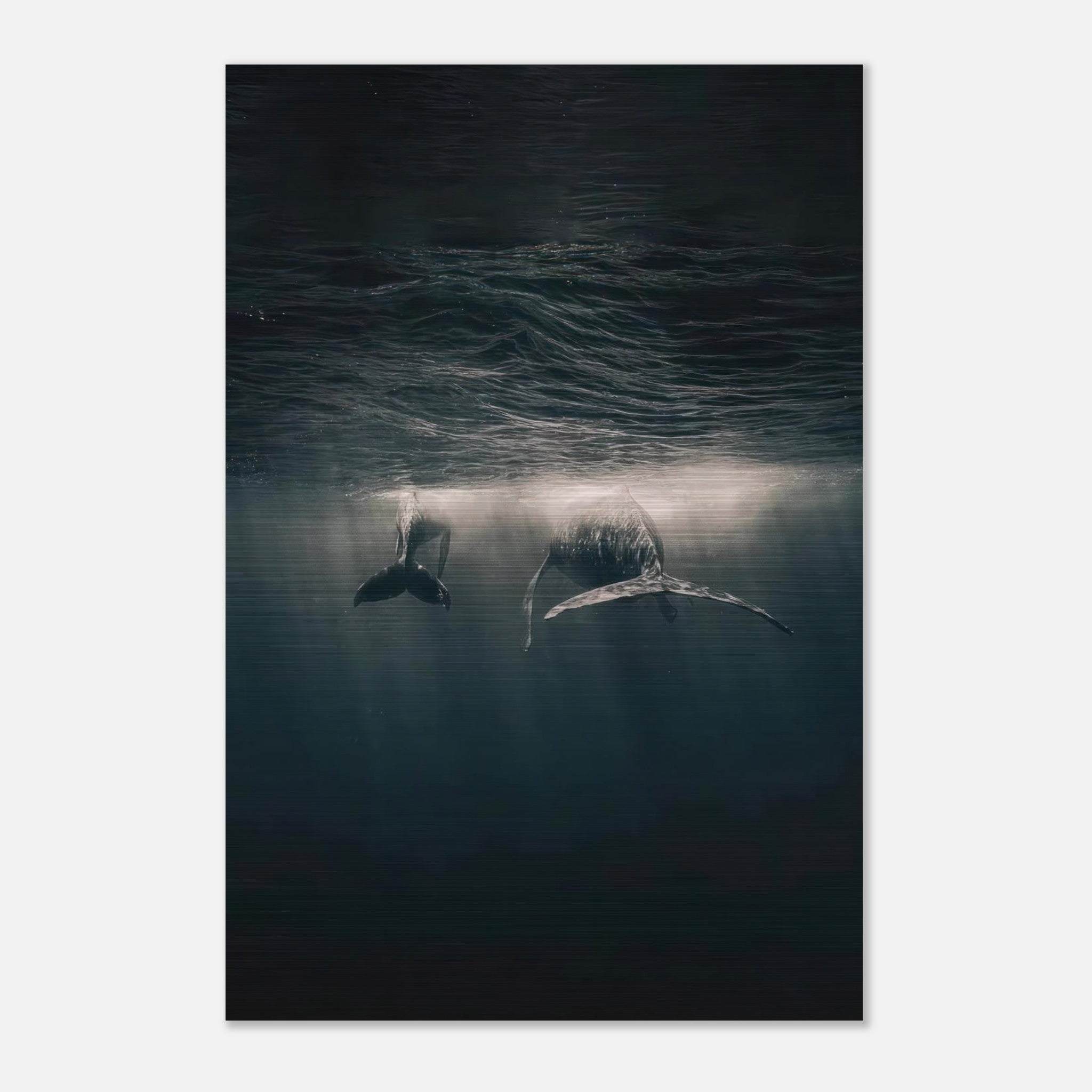 Whales swimming underwater in a serene ocean scene, featuring brushed metal artwork for a modern aesthetic.