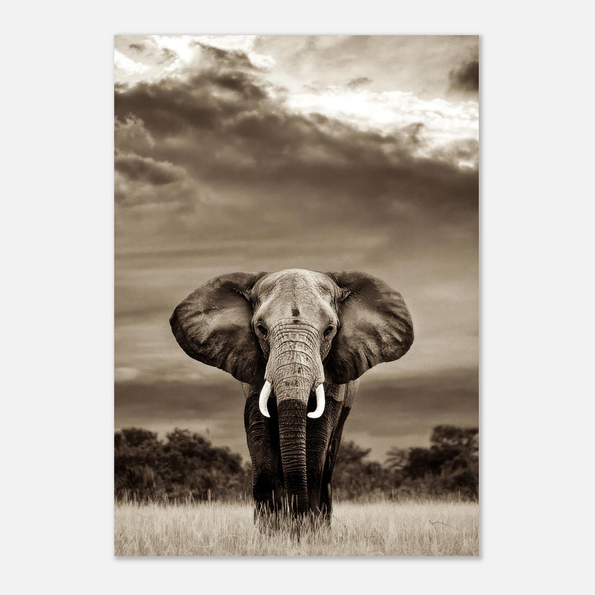 Black-and-white portrait of a majestic elephant standing against a dramatic sky, showcasing its strength and wisdom.