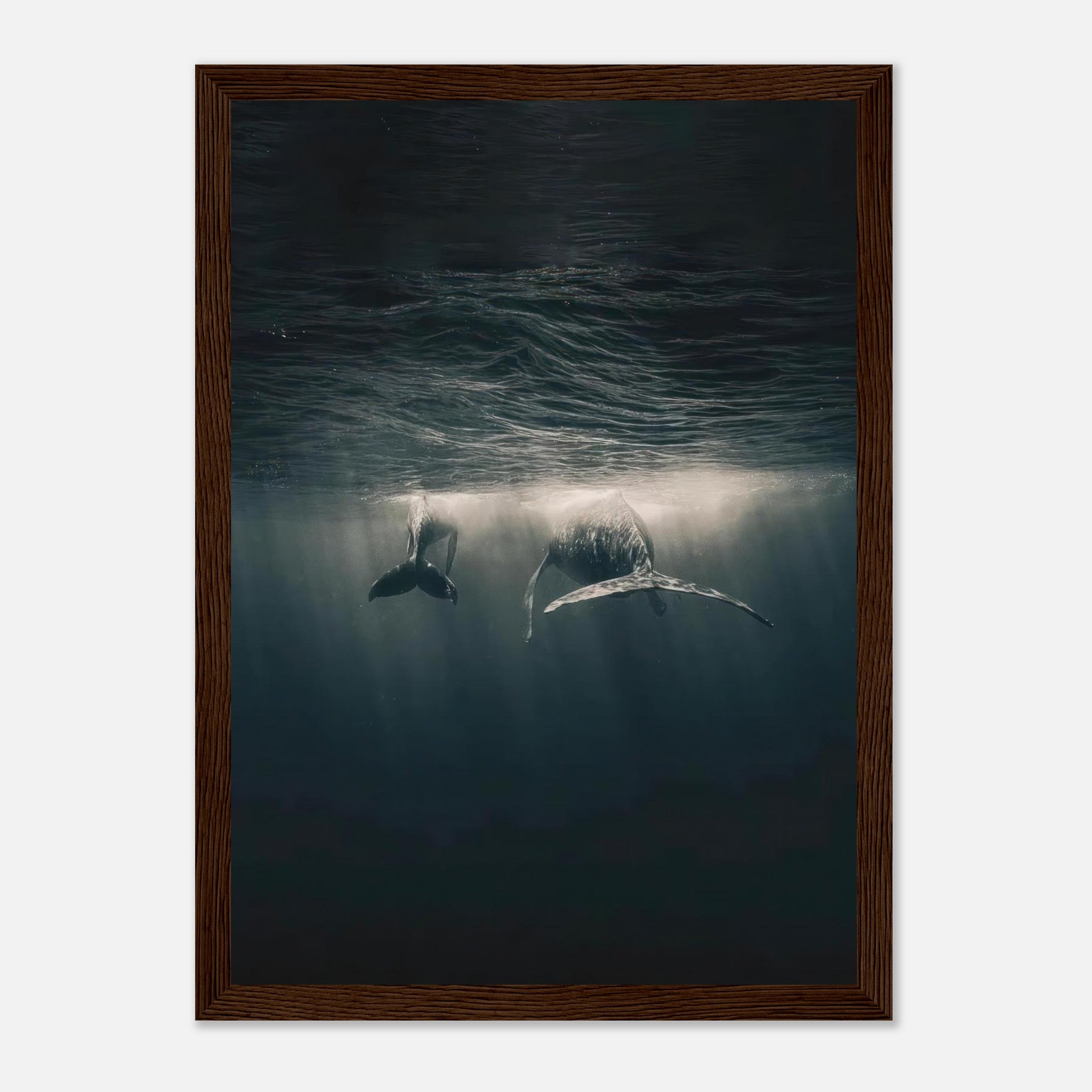Framed print of two whales gliding underwater, illuminated by soft rays of light in the ocean.