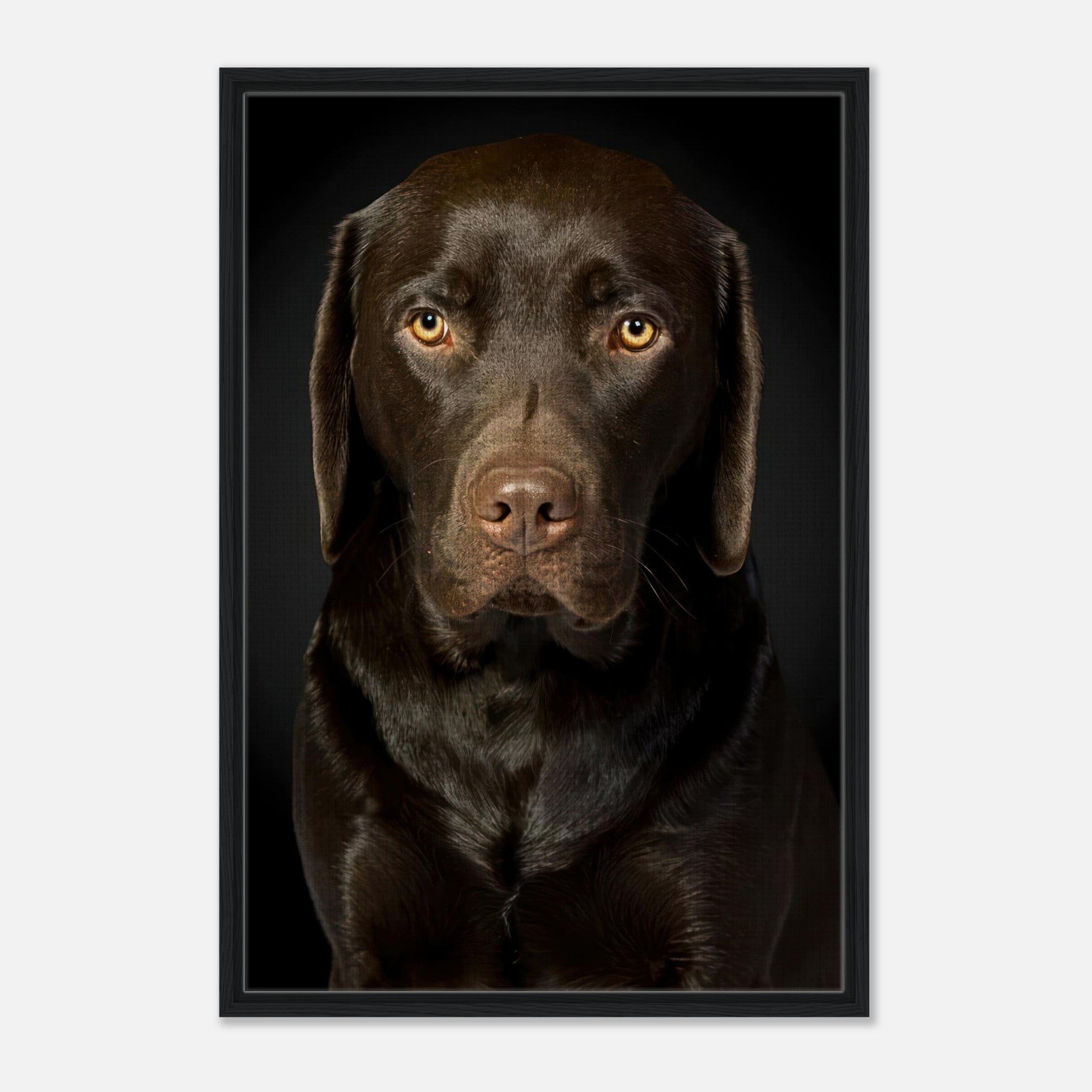 Chocolate Labrador portrait framed canvas print featuring expressive eyes and rich brown coat.