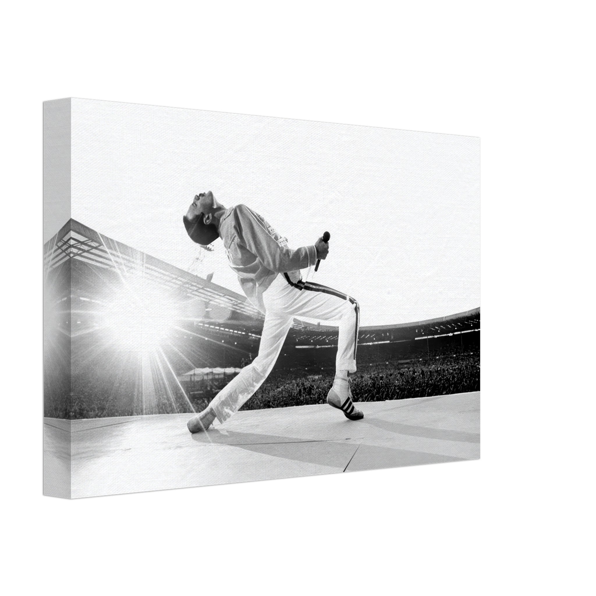 6af540a8-c5a5-4c65-8d55-3659e7eb9a5d