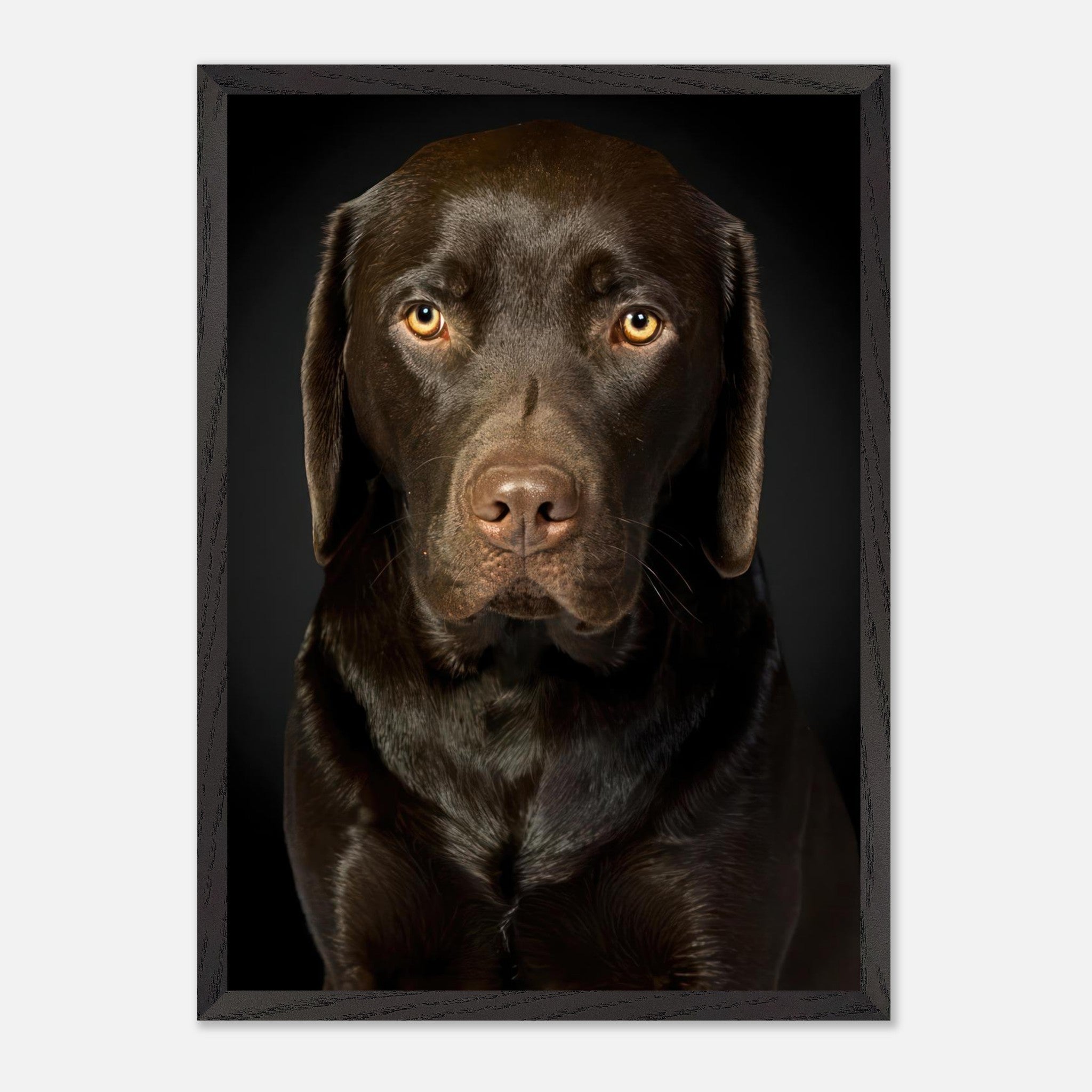 Chocolate Labrador portrait in a museum-quality frame showcasing its rich coat and soulful gaze.