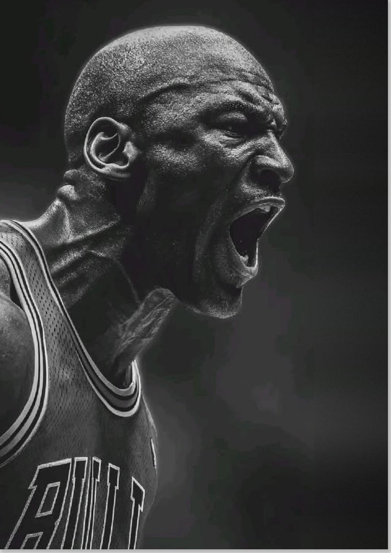 Michael Jordan Chicago Bulls