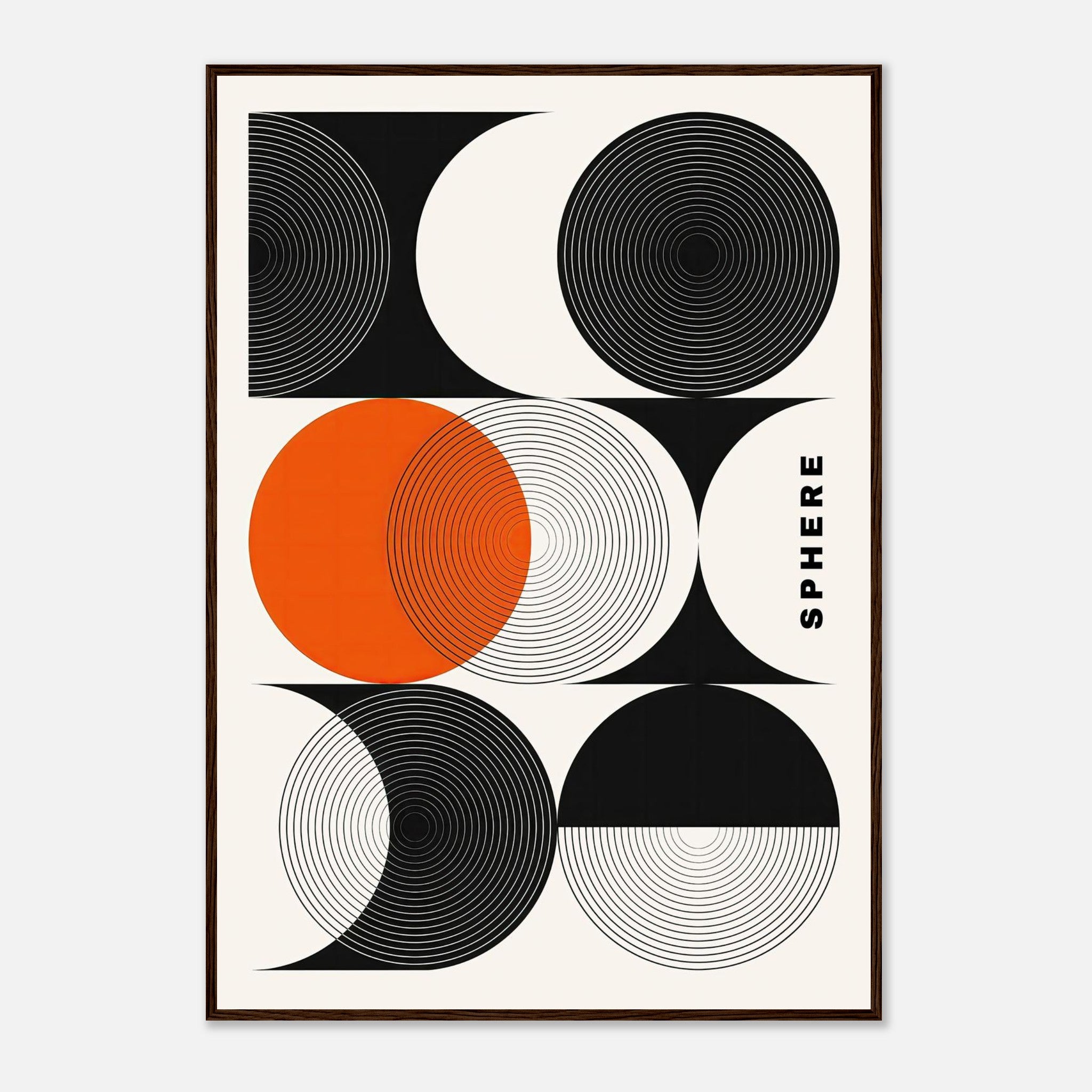 Abstract geometric sphere art print featuring black and white circular patterns with a vibrant orange accent.