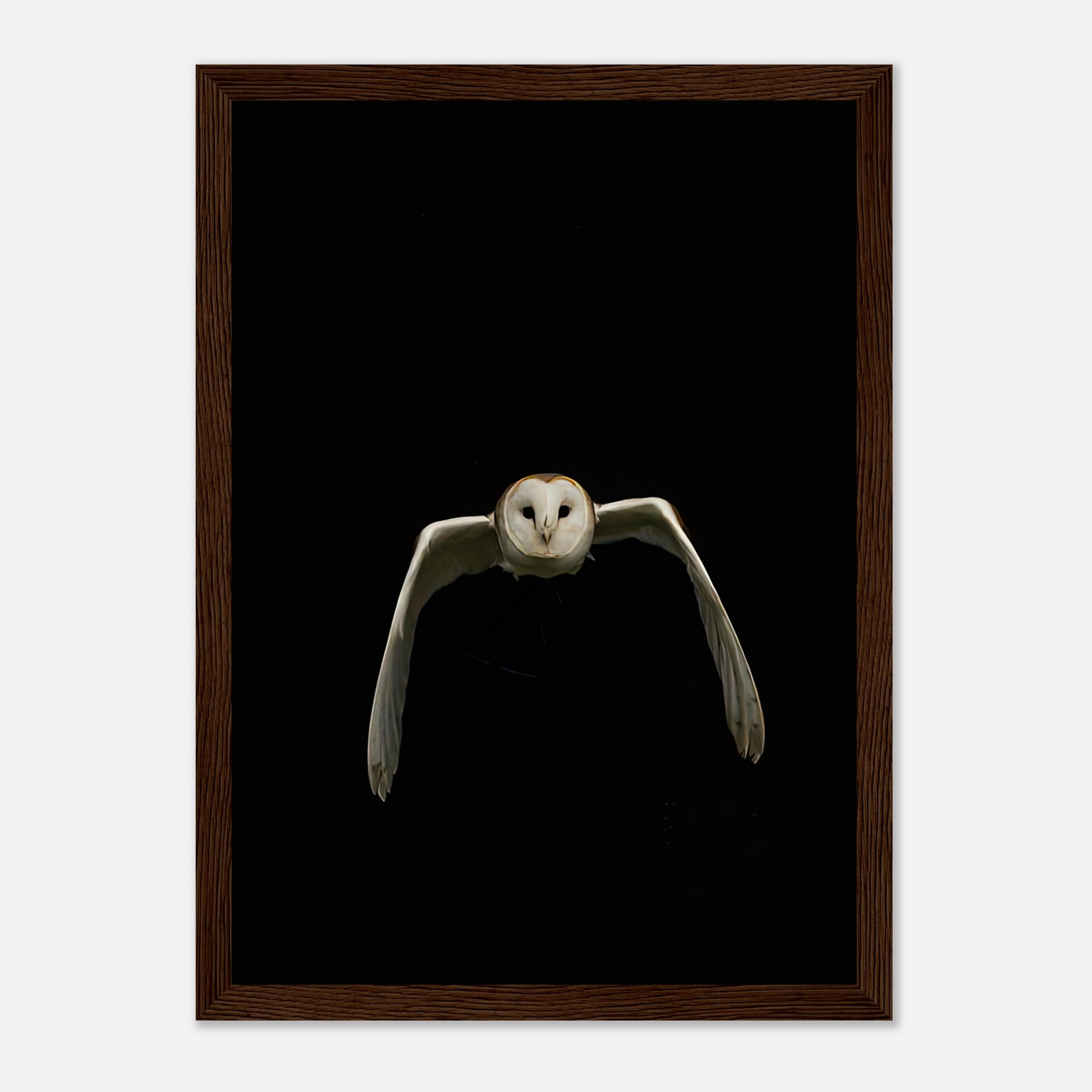 Owl Framed Print featuring a barn owl in flight against a dramatic black background, ideal for modern decor.