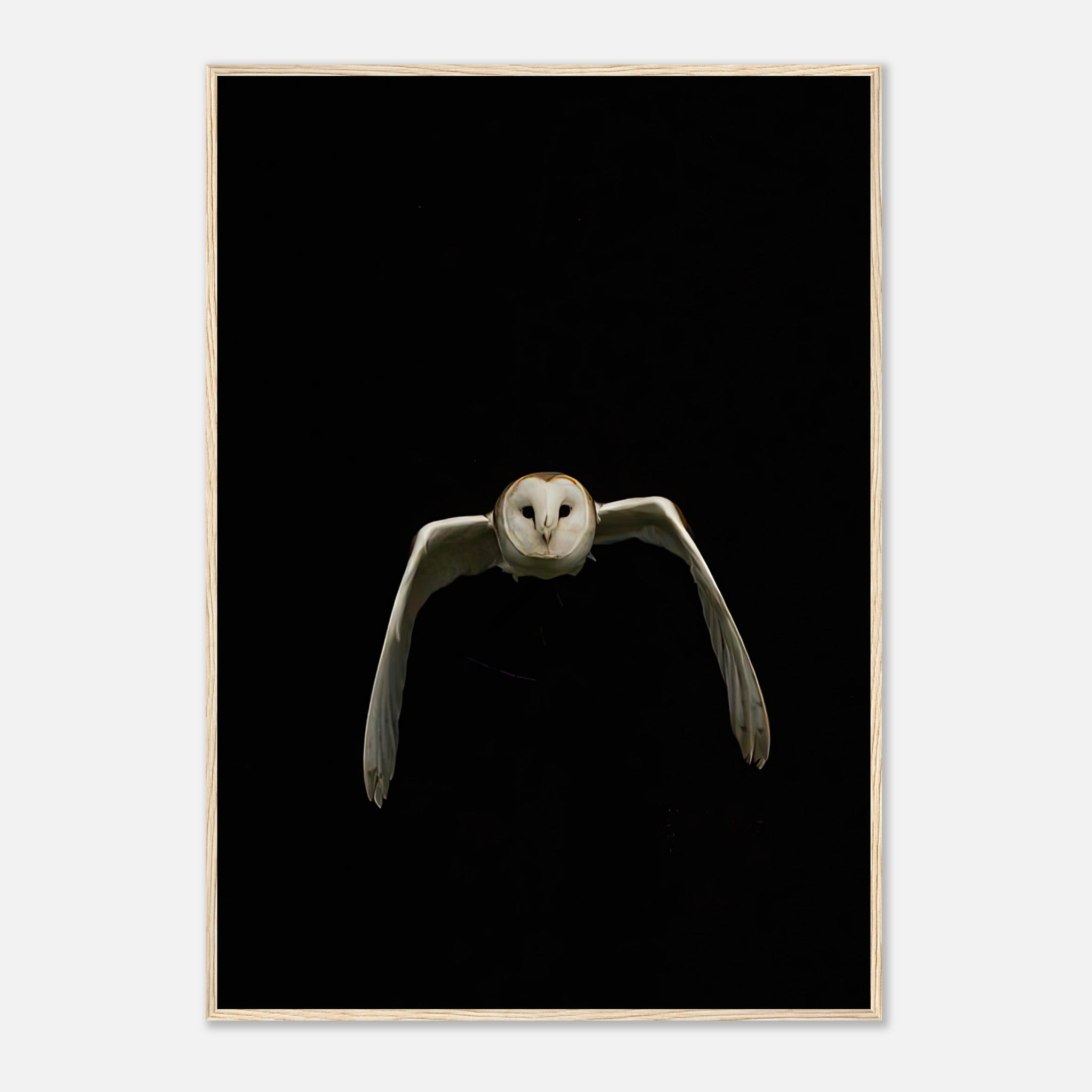 Stunning Owl Framed Print featuring a barn owl in flight against a dramatic black background.