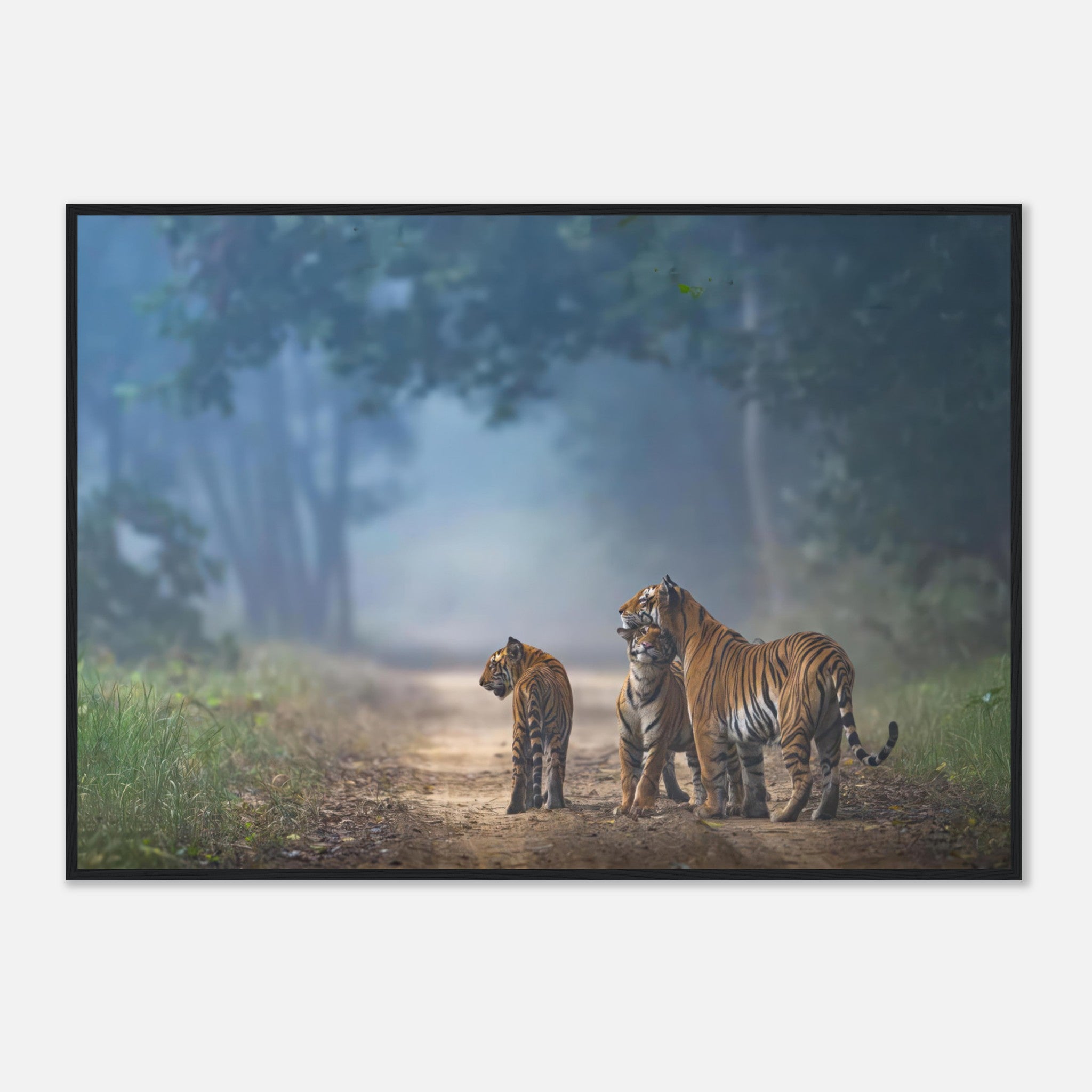 Framed print of a tiger family on a misty forest pathway, showcasing their bond in a serene wild setting.