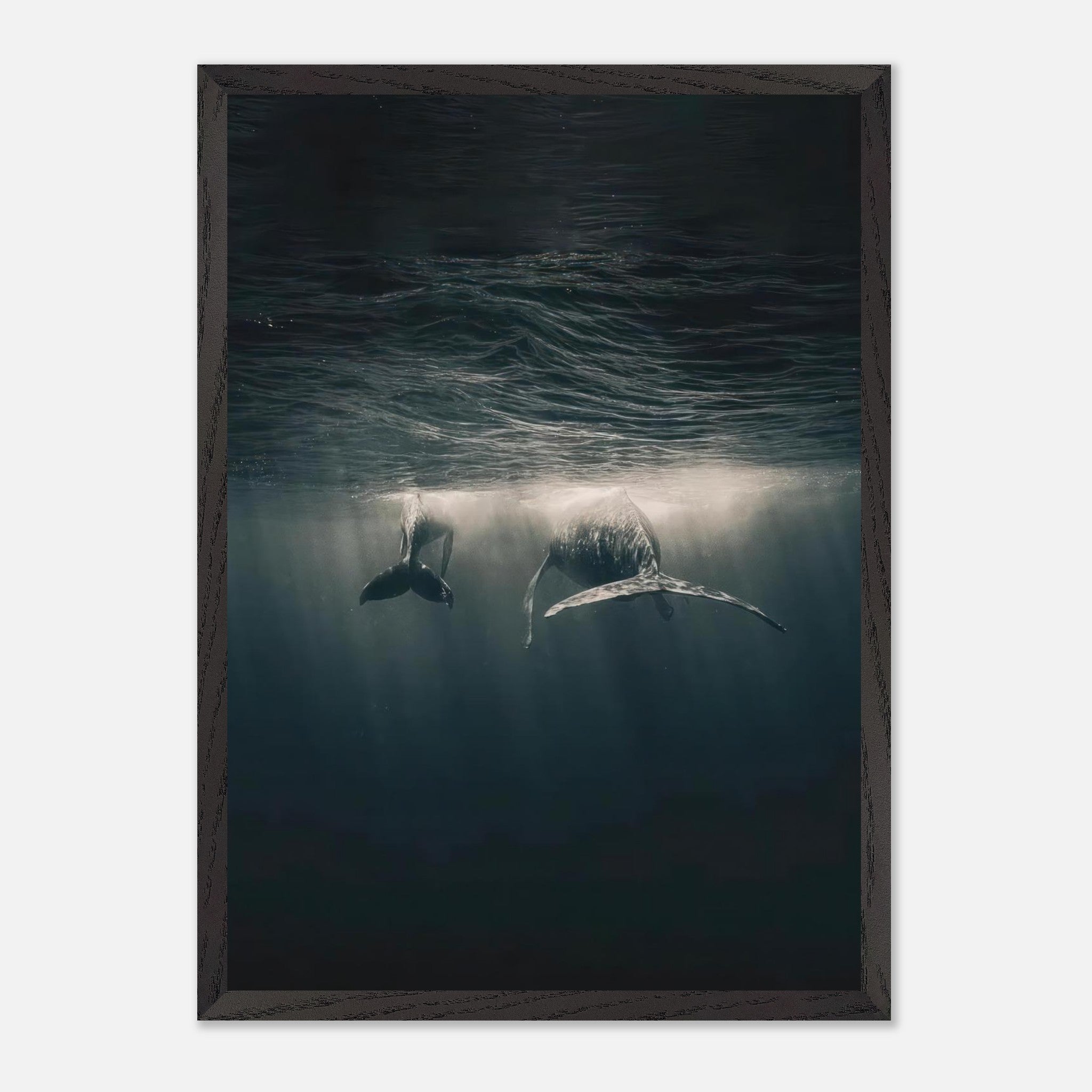 Whales swimming gracefully underwater, captured in a vintage framed print showcasing ocean serenity.