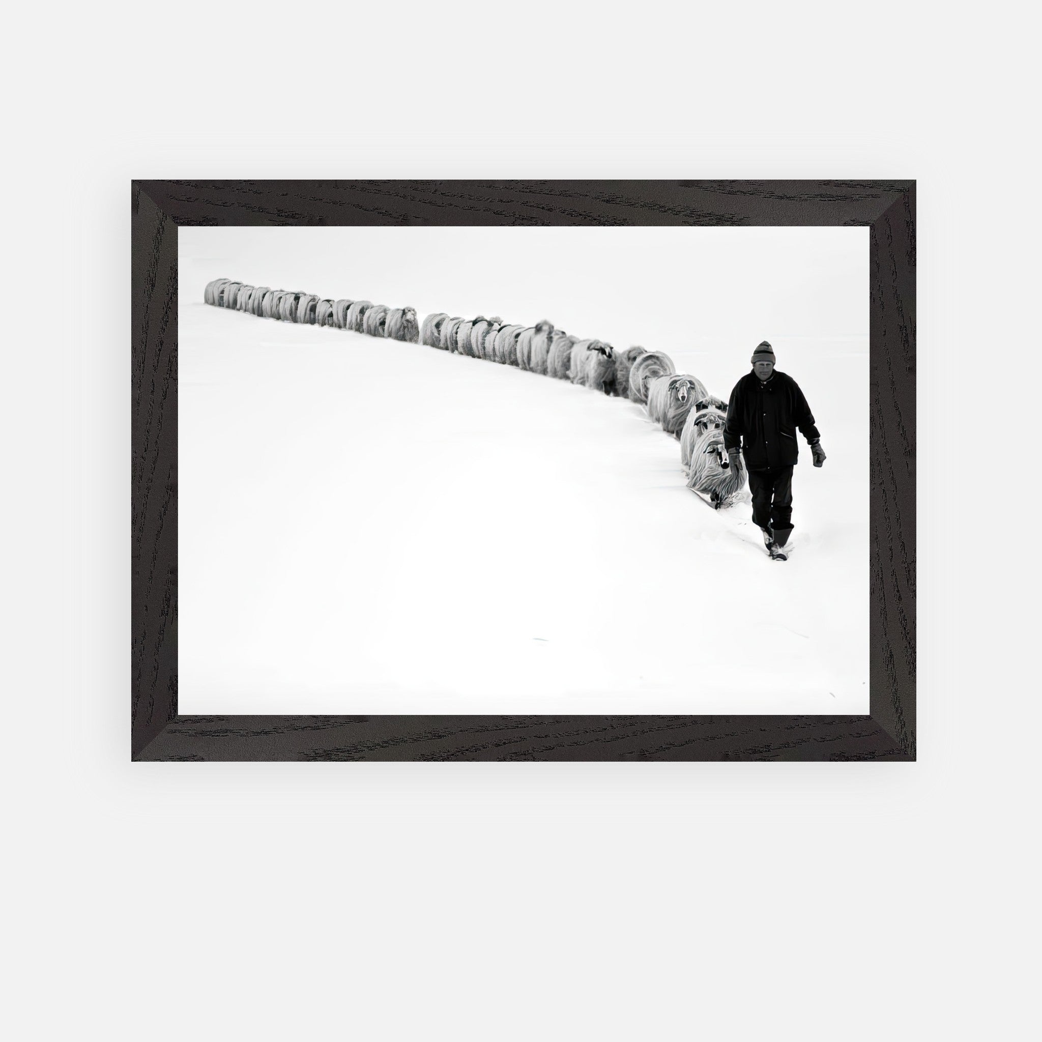 A shepherd guiding a flock of sheep through a snowy landscape in black-and-white framed art.