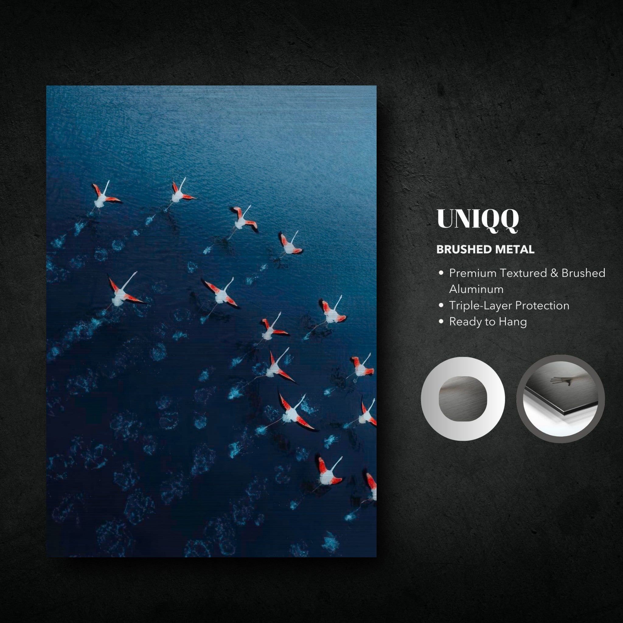 Flamingos drone photography brushed metal print showcasing flamingos over deep blue waters.