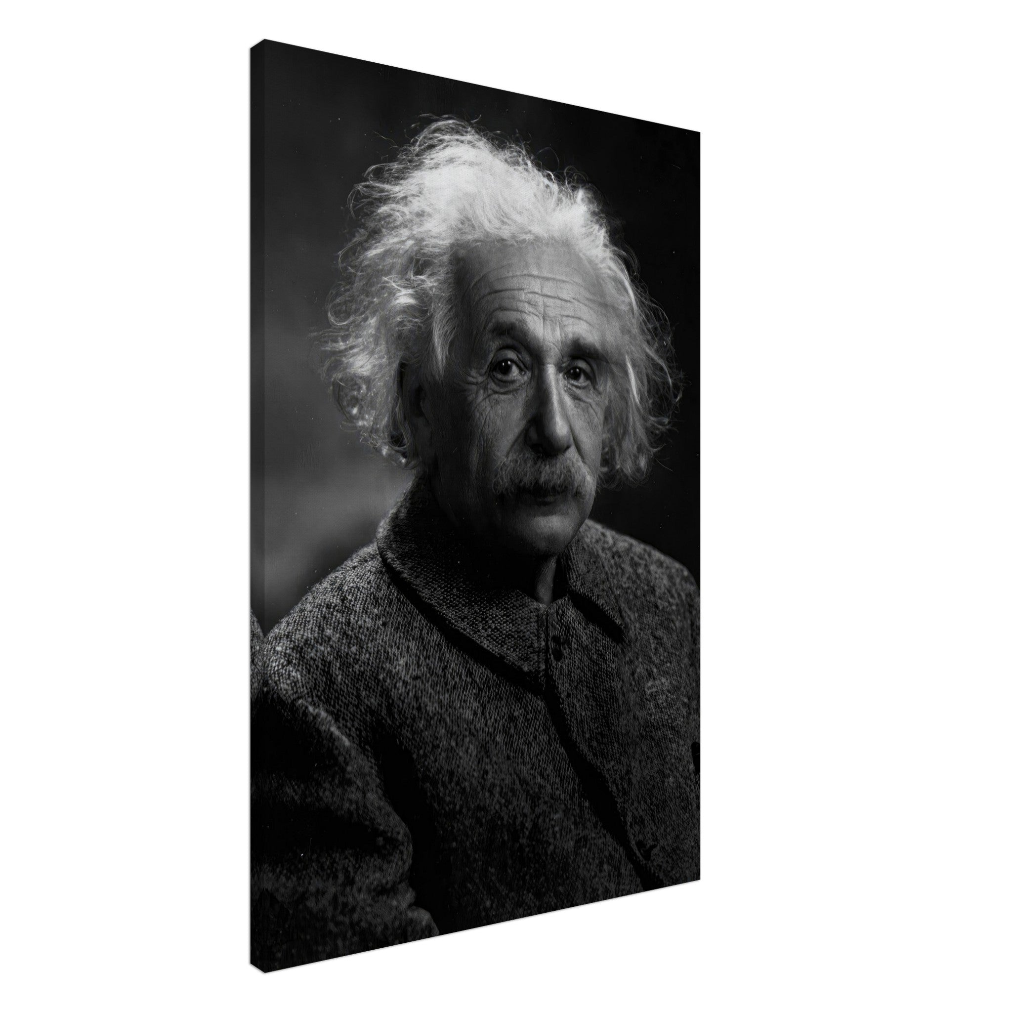 Albert Einstein portrait canvas print in black and white, showcasing his thoughtful expression and iconic hairstyle.